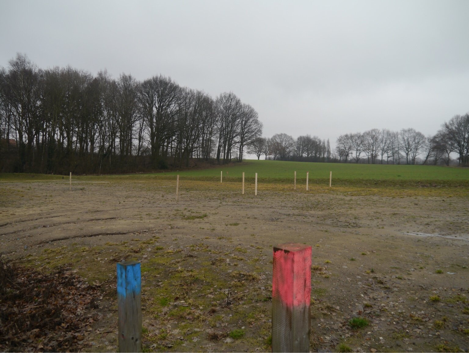 Leeres, matschiges Gelände mit zwei blauen und roten Pfosten; Baumreihe am Horizont.