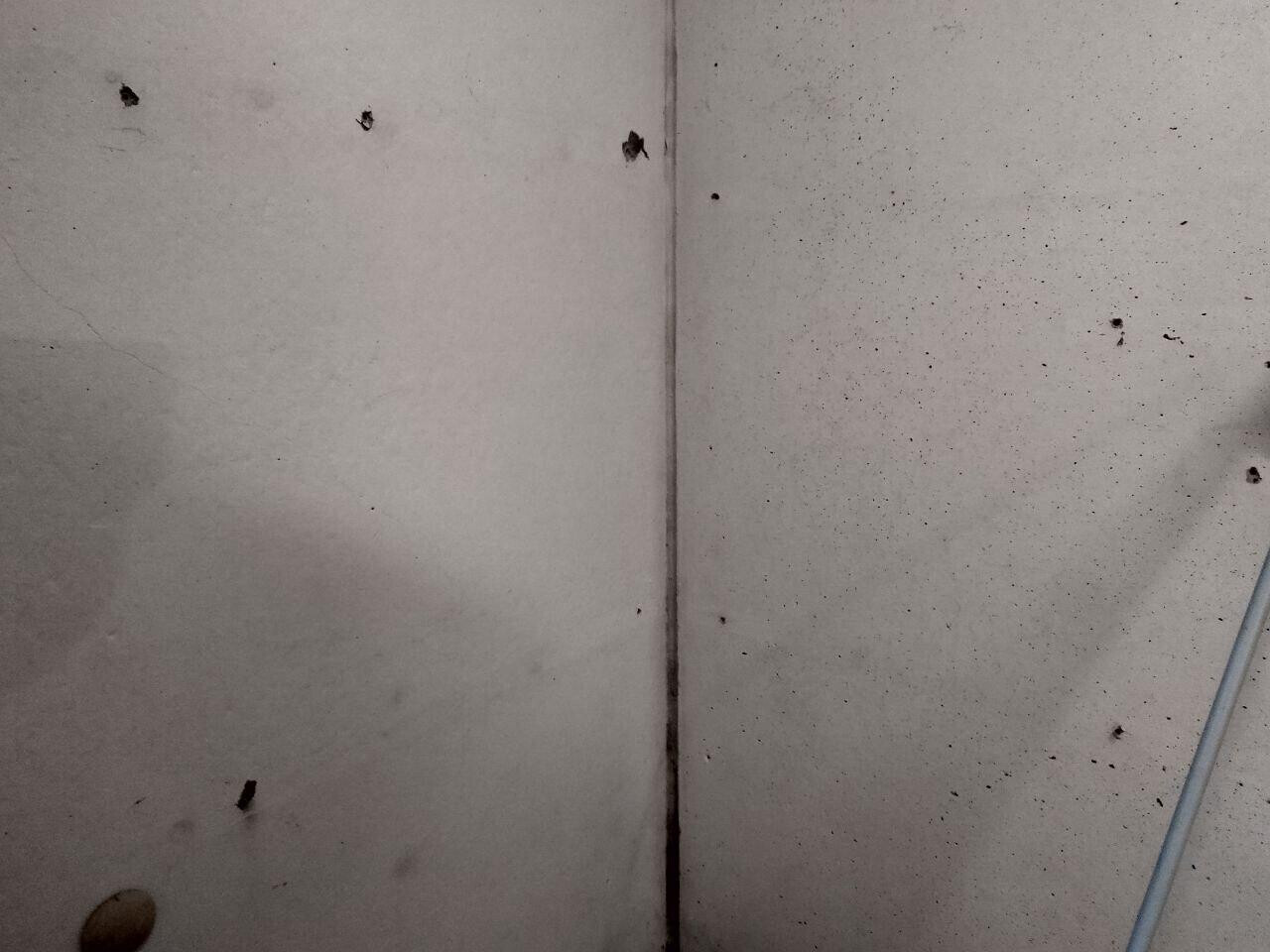Zwei Betonplatten mit senkrechter Fuge, graue Flecken, rechts ein Kabel entlang der Wand.