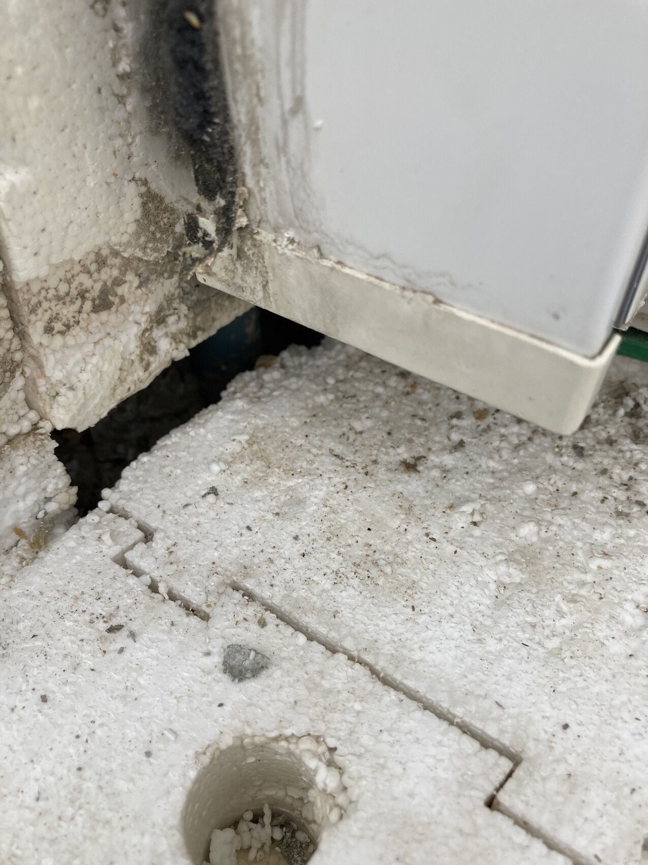 Nahaufnahme von bröckeligem Betonboden und Spalt unter einem weißen Haushaltsgerät.