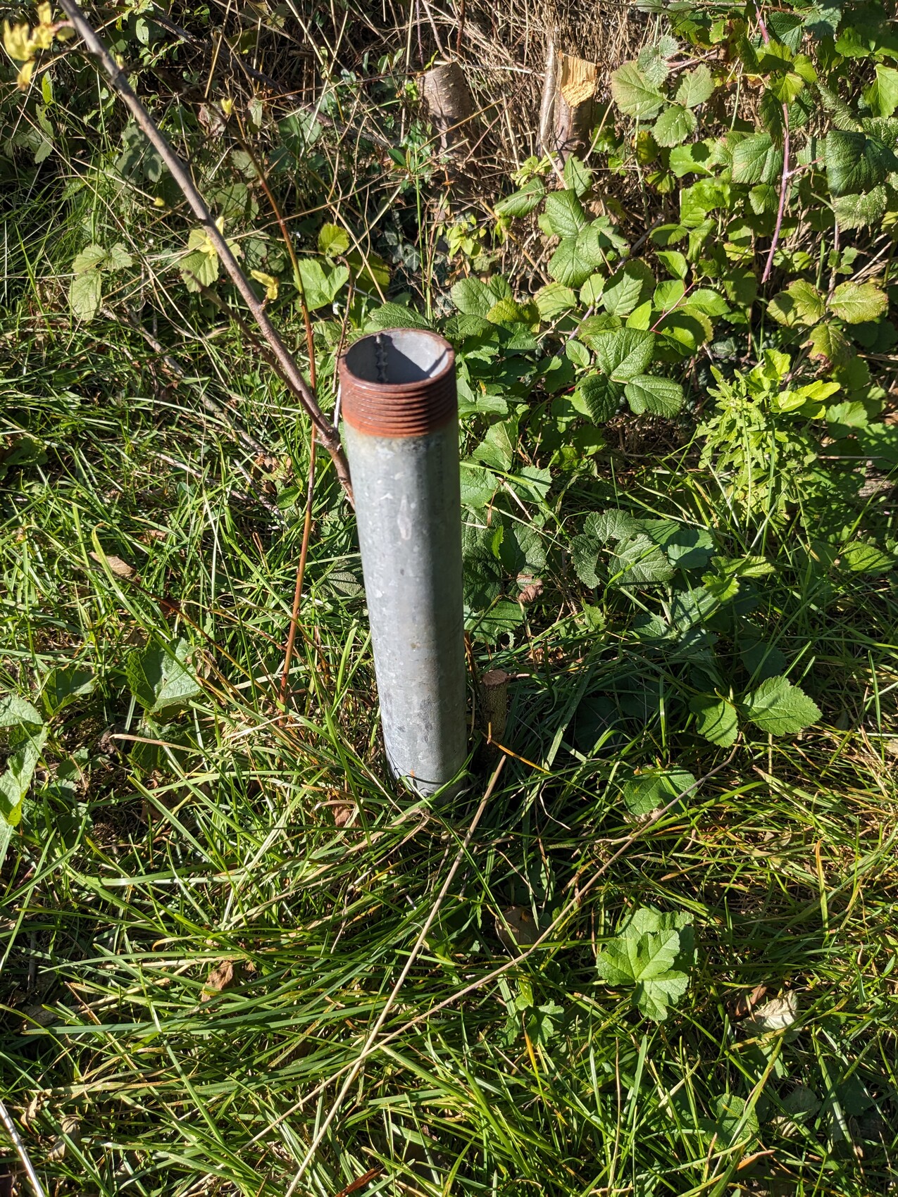 Metallrohr mit Gewinde ragt aus Gras im Garten, mögliche Haustechnik-Verrohrung