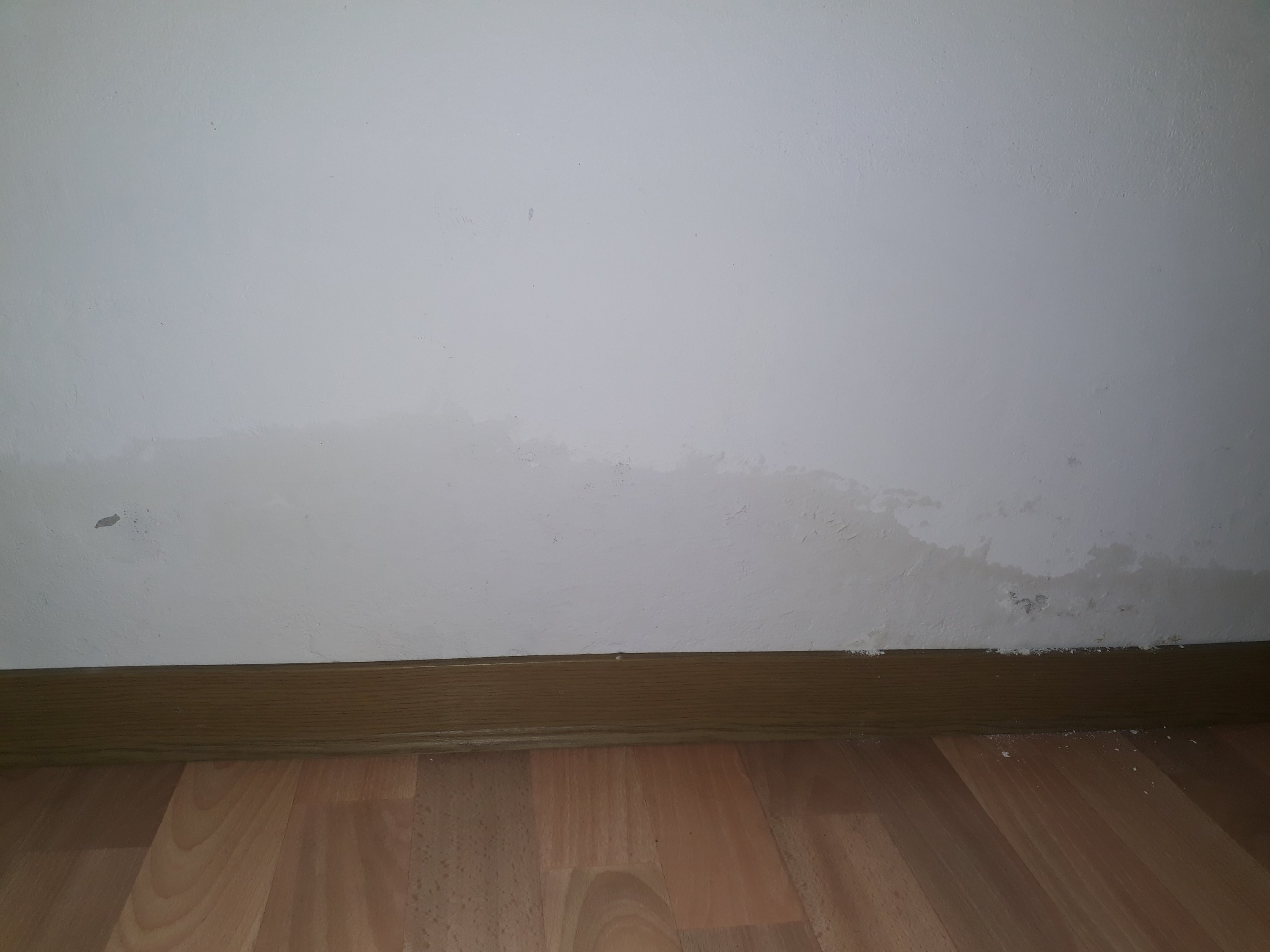 rohrbruch-oder-was-koennte-das-sein-wer-hat-ideentipps-276331-2.jpg
