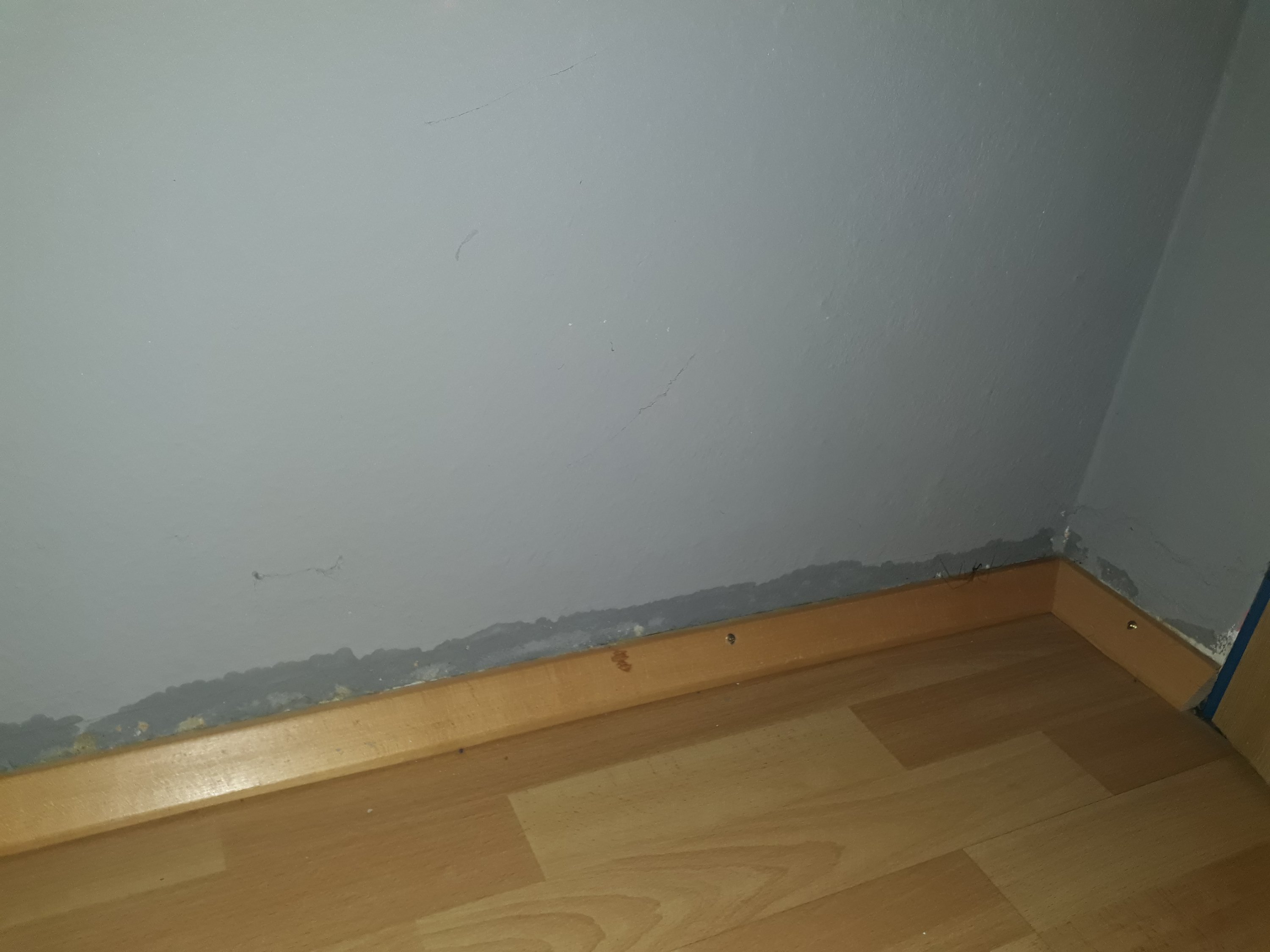 rohrbruch-oder-was-koennte-das-sein-wer-hat-ideentipps-276331-4.jpg