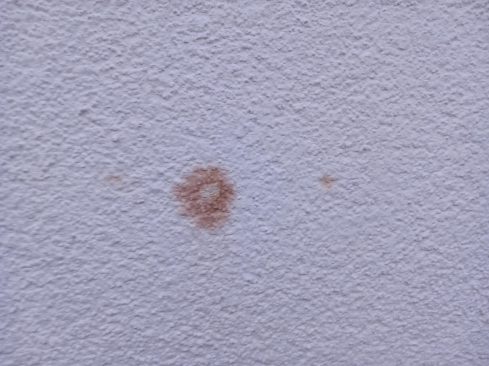 Grau verputzte Wand mit zwei rostbraunen Flecken, eine größere links, eine kleinere rechts.