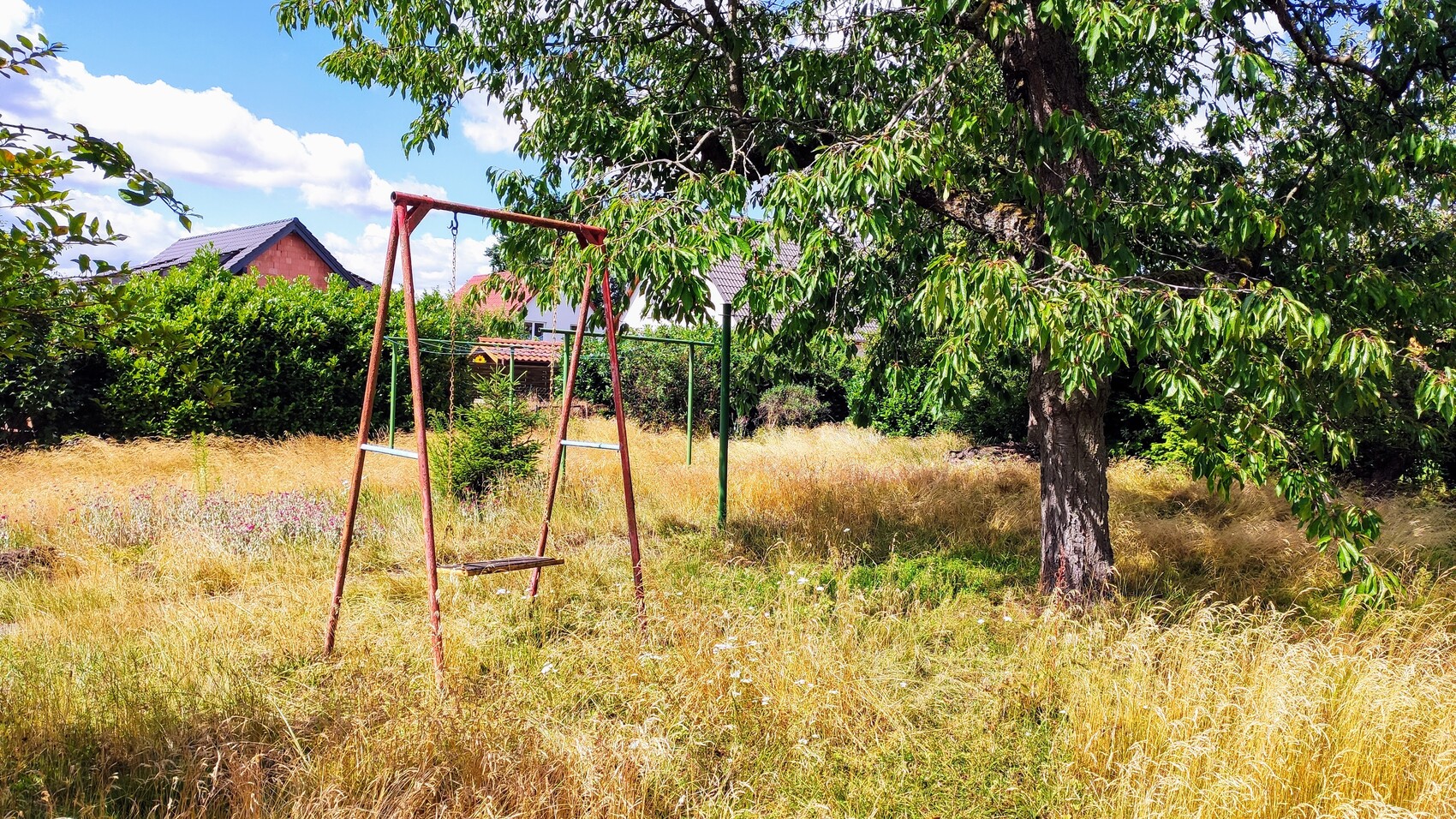 Rostige Schaukel im Garten unter einem großen Baum, trockenes Gras und Häuser im Hintergrund.