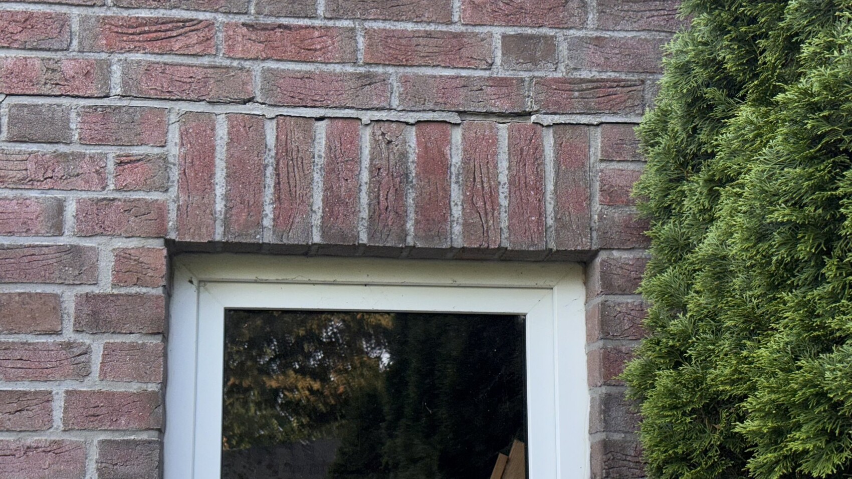 Kleines Fenster mit weißem Rahmen in roter Backsteinmauer; rechts eine grüne Koniferenhecke.