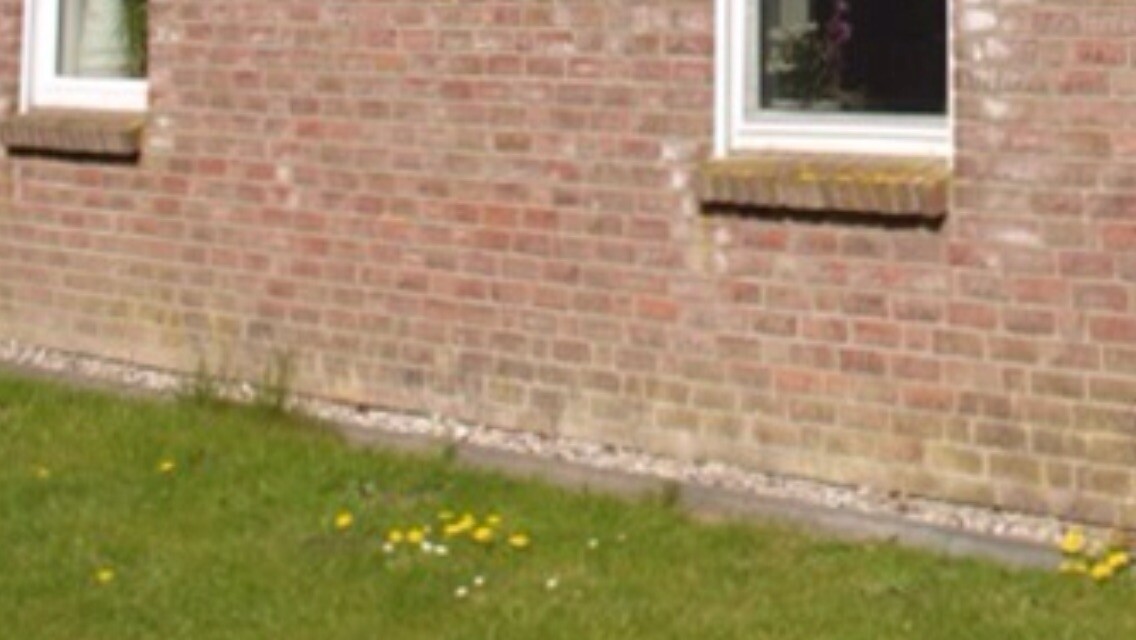 Ziegelwand eines Gebäudes mit zwei weißen Fenstern; Grasfläche im Vordergrund mit gelben Blüten.