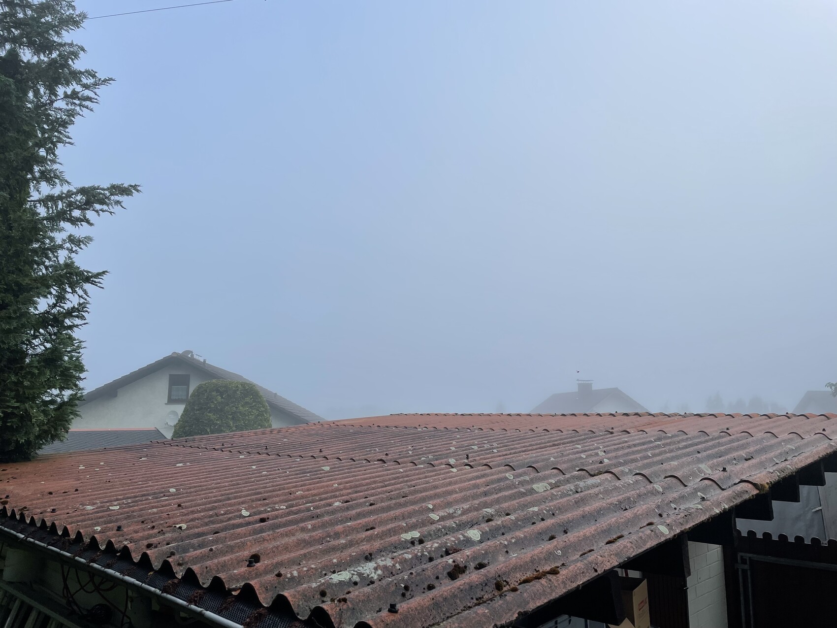 Dunstige Wohnsiedlung: rote Dachziegel, links schmaler Baum, weiter Häuser im Nebel.