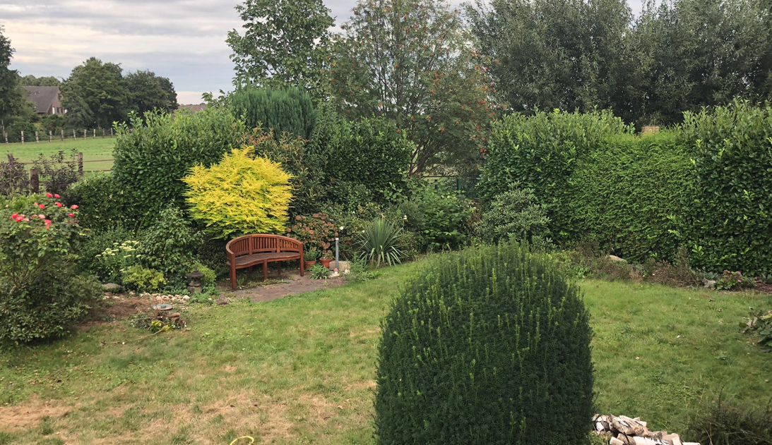 ruhige-gartenlandschaft-mit-bank-hecken-und-baumreihe.png