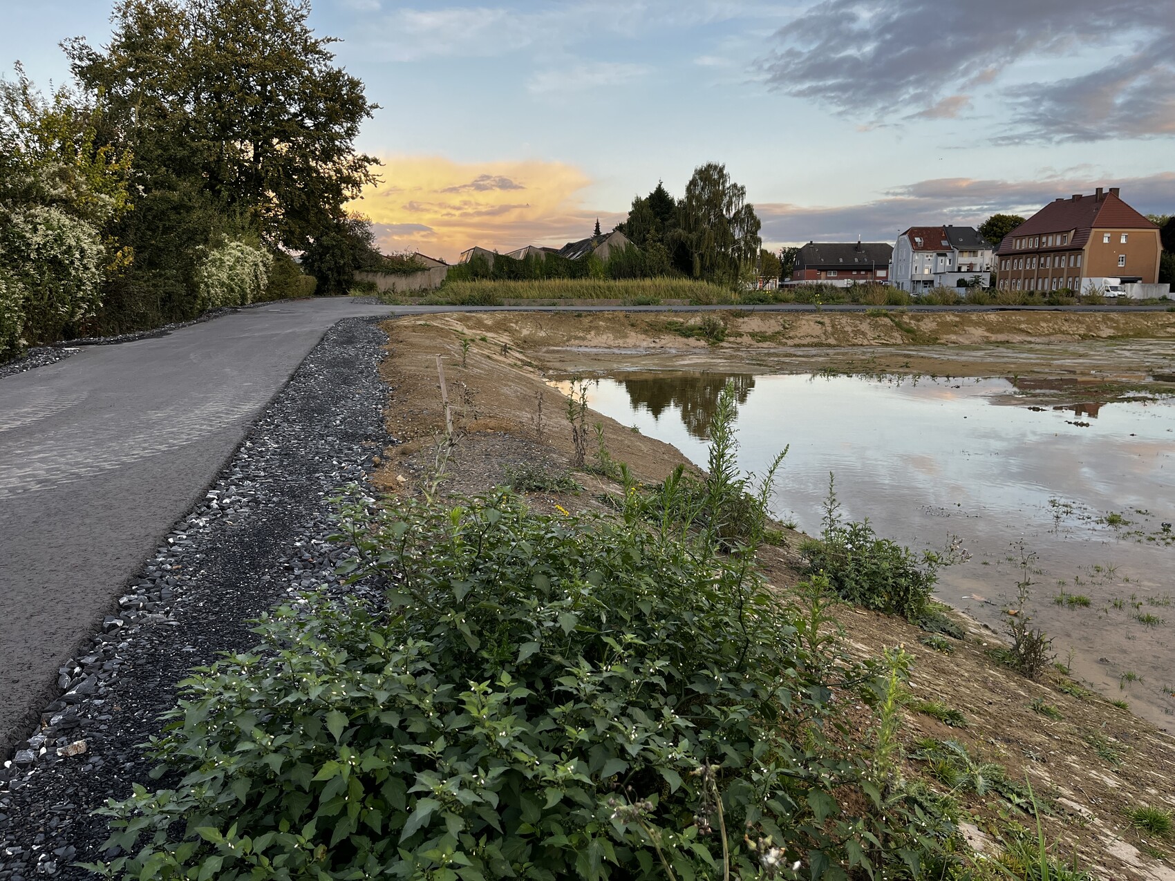 Asphaltweg links, Ufersee rechts, Häuser am Horizont, Abendstimmung und Pflanzen im Vordergrund