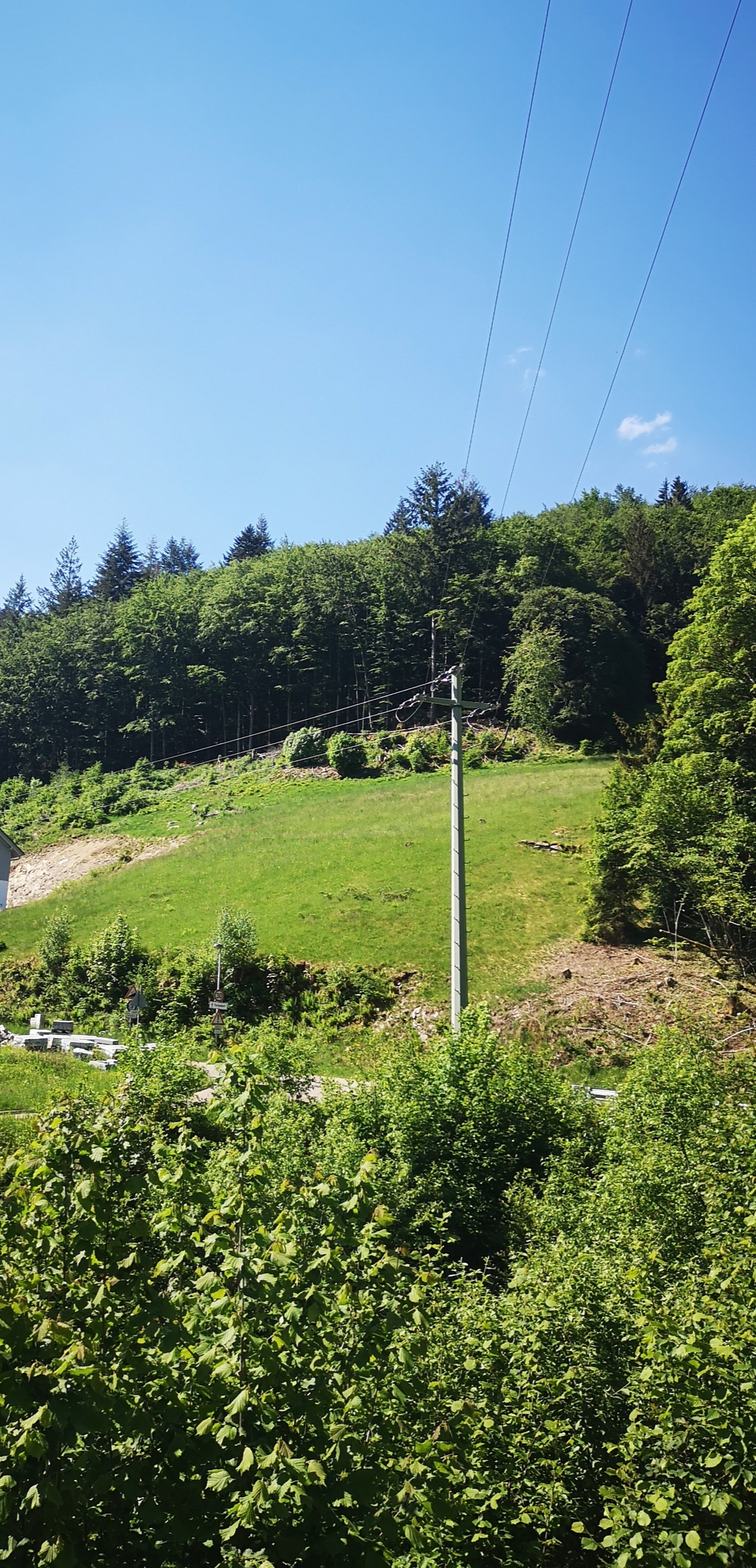 ruhige-landschaft-mit-gruenem-hang-und-stromleitungen.jpg