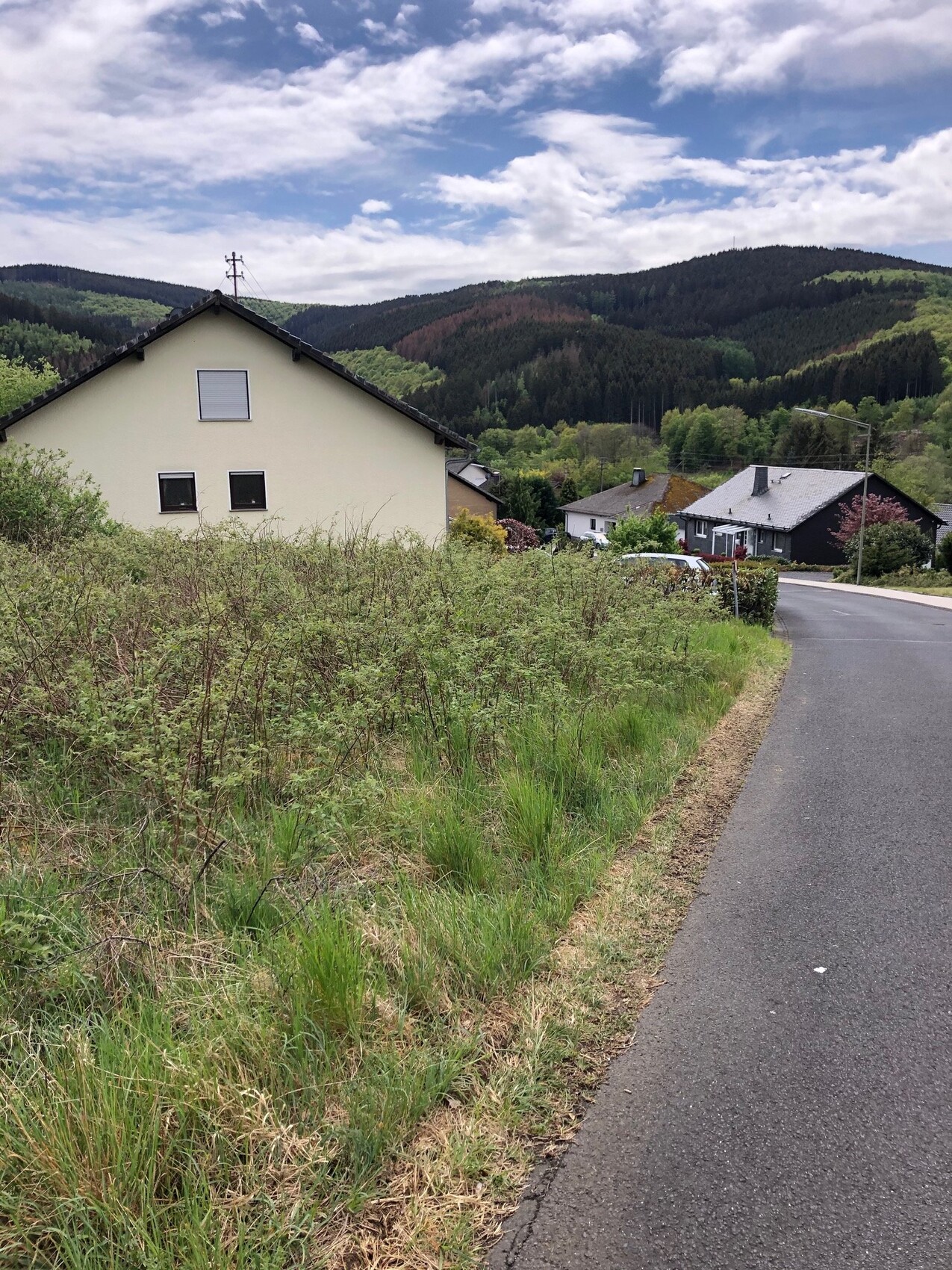 Ländliche Straßenszene: Grasrand links, Haus vorne, weitere Häuser, Wälder und Hügel im Hintergrund