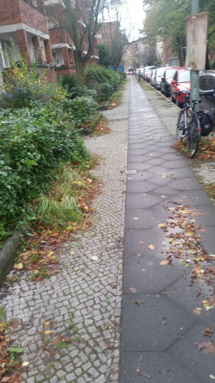 Gepflasterter Bürgersteig neben parkenden Autos, Bäumen und Gebäuden in einer Wohnstraße.