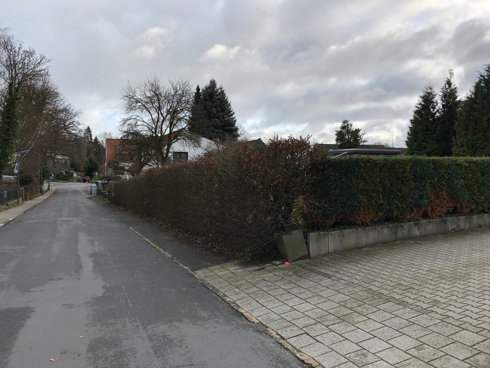 Straße in einer Wohnsiedlung mit hohen Hecken, Bäumen und grauem Himmel