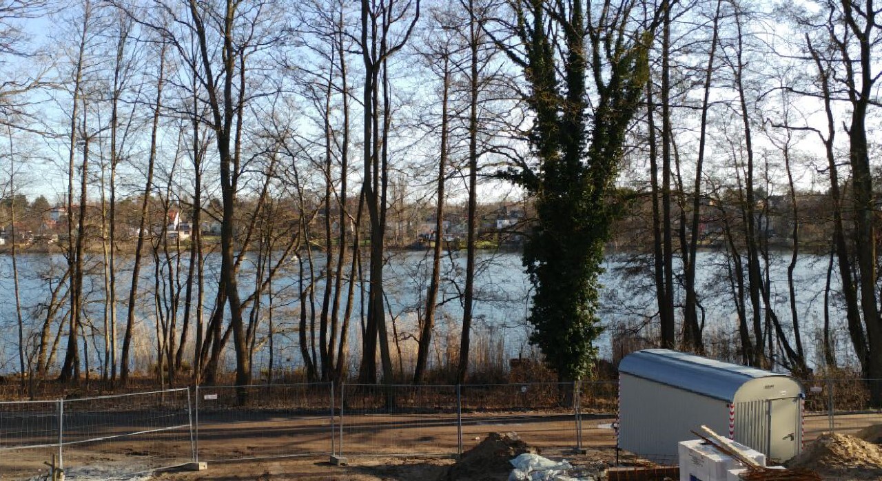 Blick auf See durch kahle Baumreihen; Bauzaun und Container im Vordergrund.