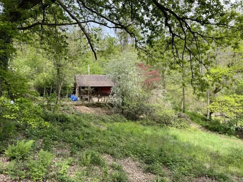 Kleines Holzhaus im Wald, von Bäumen umgeben; Person in Blau neben der Veranda.