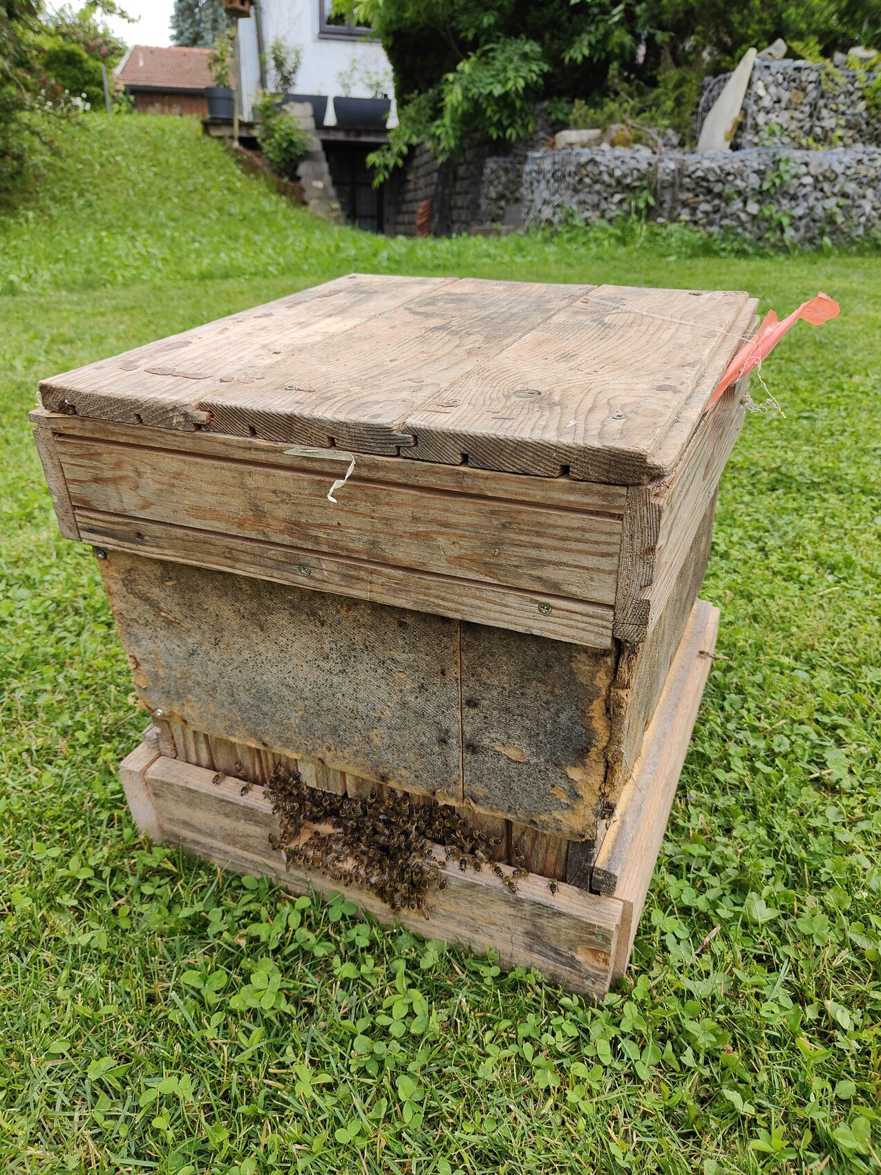 Holzbeute mit Bienen am Eingang, steht auf Gras im Garten.