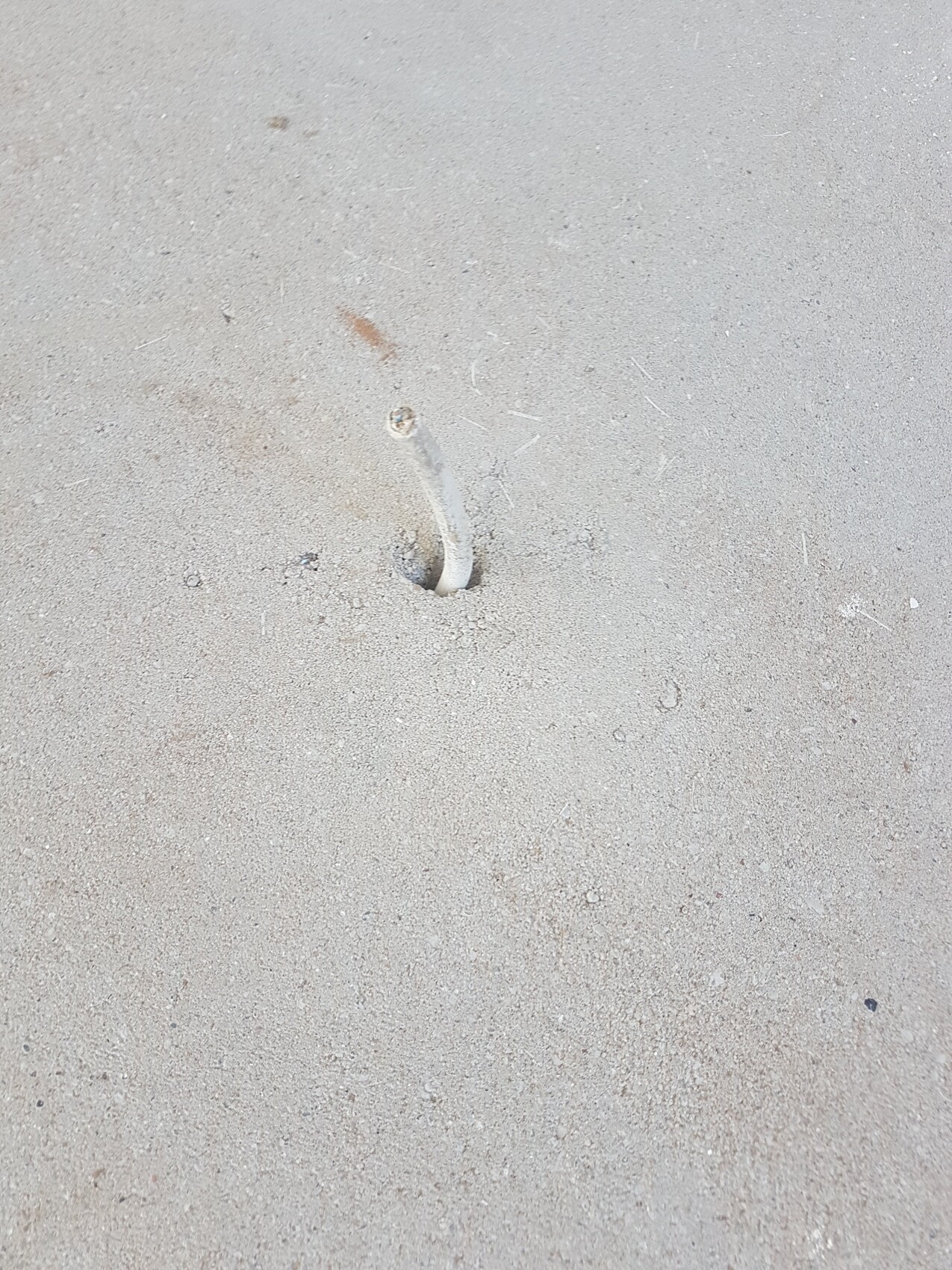 Verrostete, gebogene Metallstange ragt aus einem Sandloch am Strand.