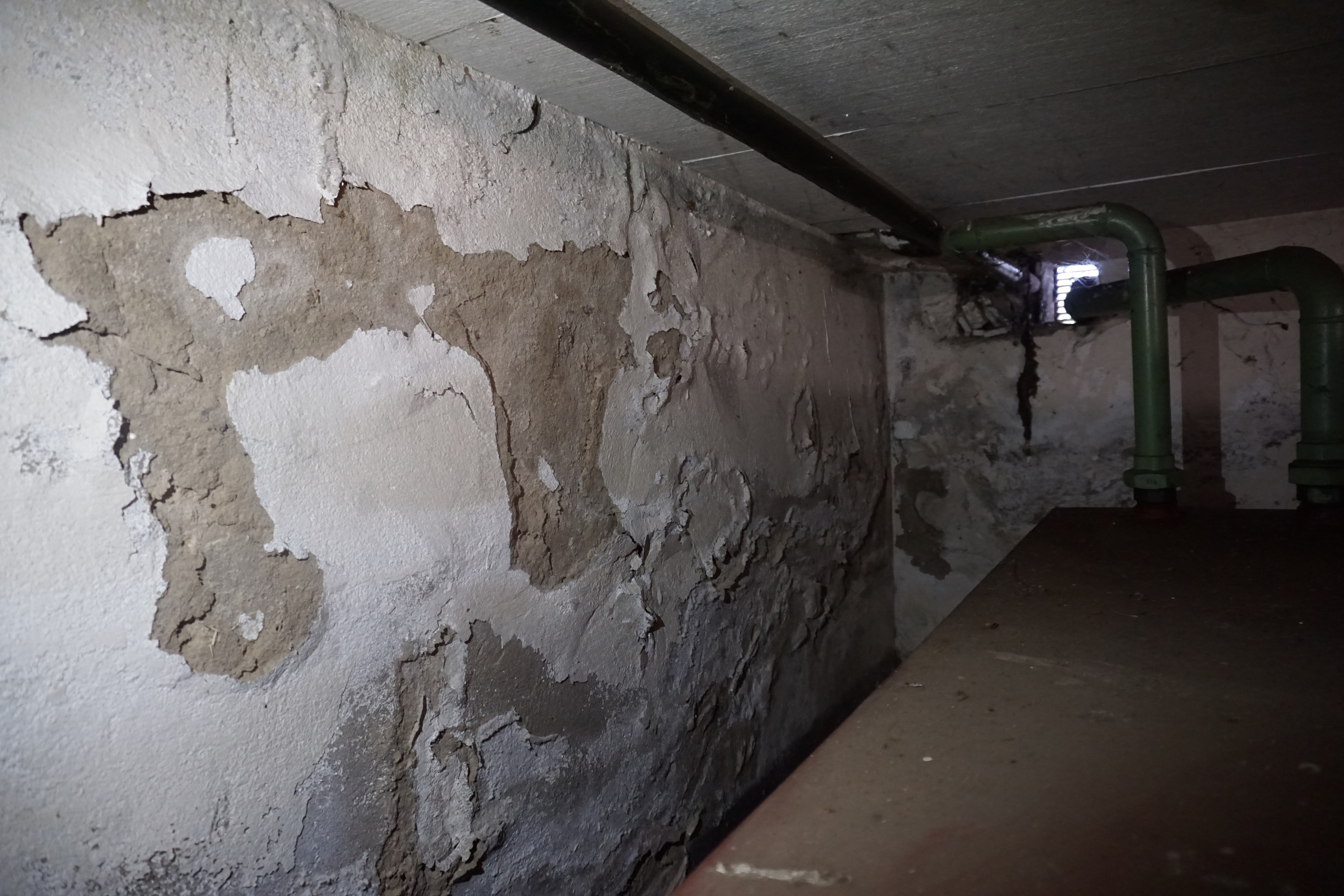 sanierung-60er-jahre-haus-fragwuerdige-gutachter-empfehlungen-510737-2.JPG