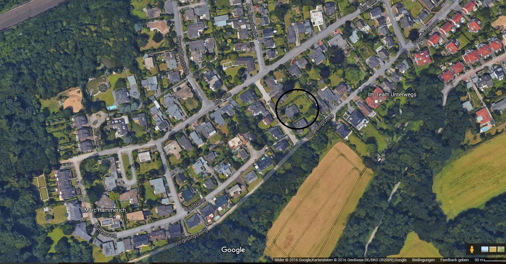 Satellitenbild eines Wohnviertels mit markiertem Kreis auf der Straße und Grünflächen.