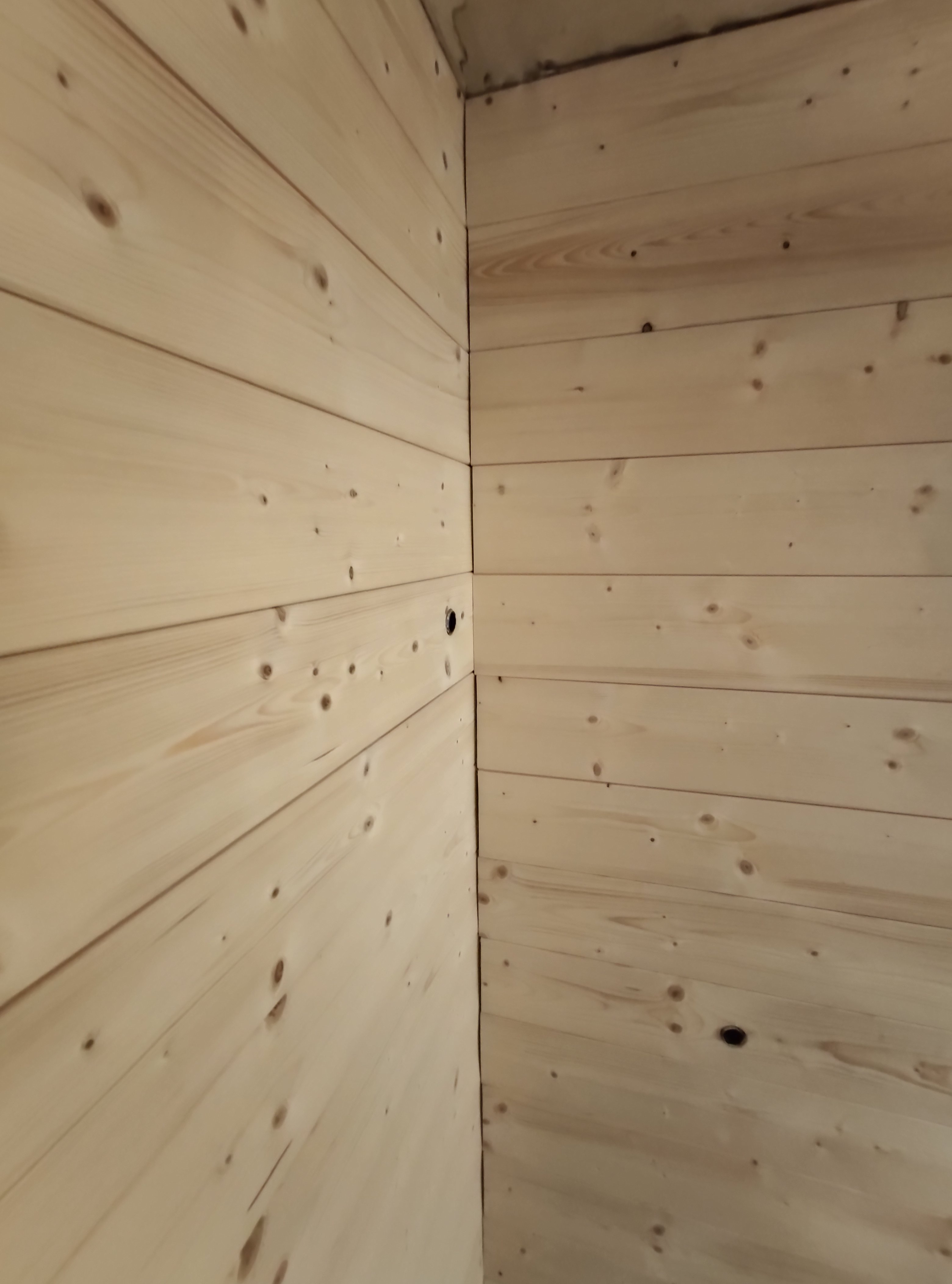 sauna-selbst-bauen-mit-dachschraege-anregungenhinweiseplanungen-461641-6.jpg