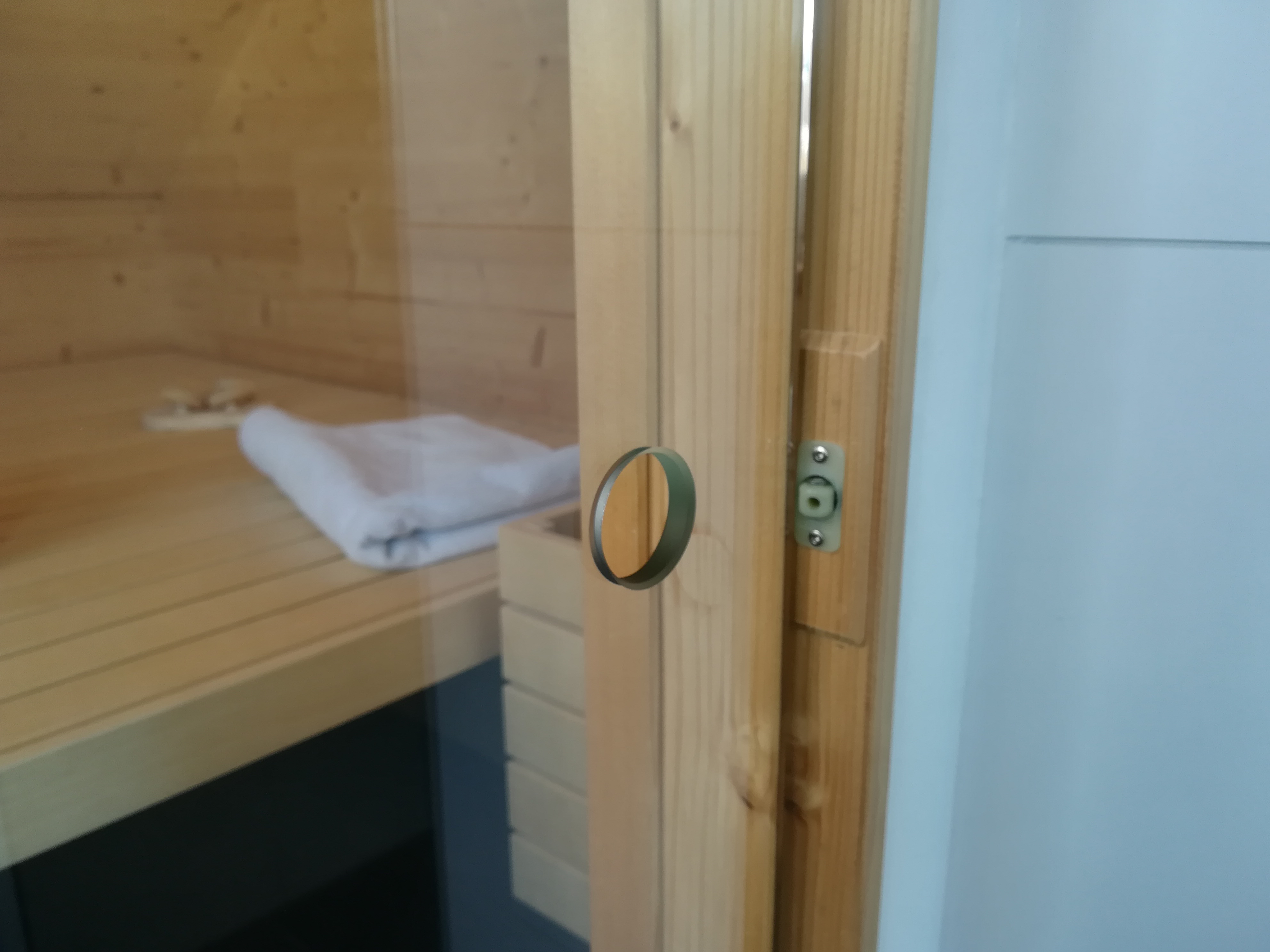 sauna-selbst-bauen-mit-dachschraege-anregungenhinweiseplanungen-465699-2.jpg