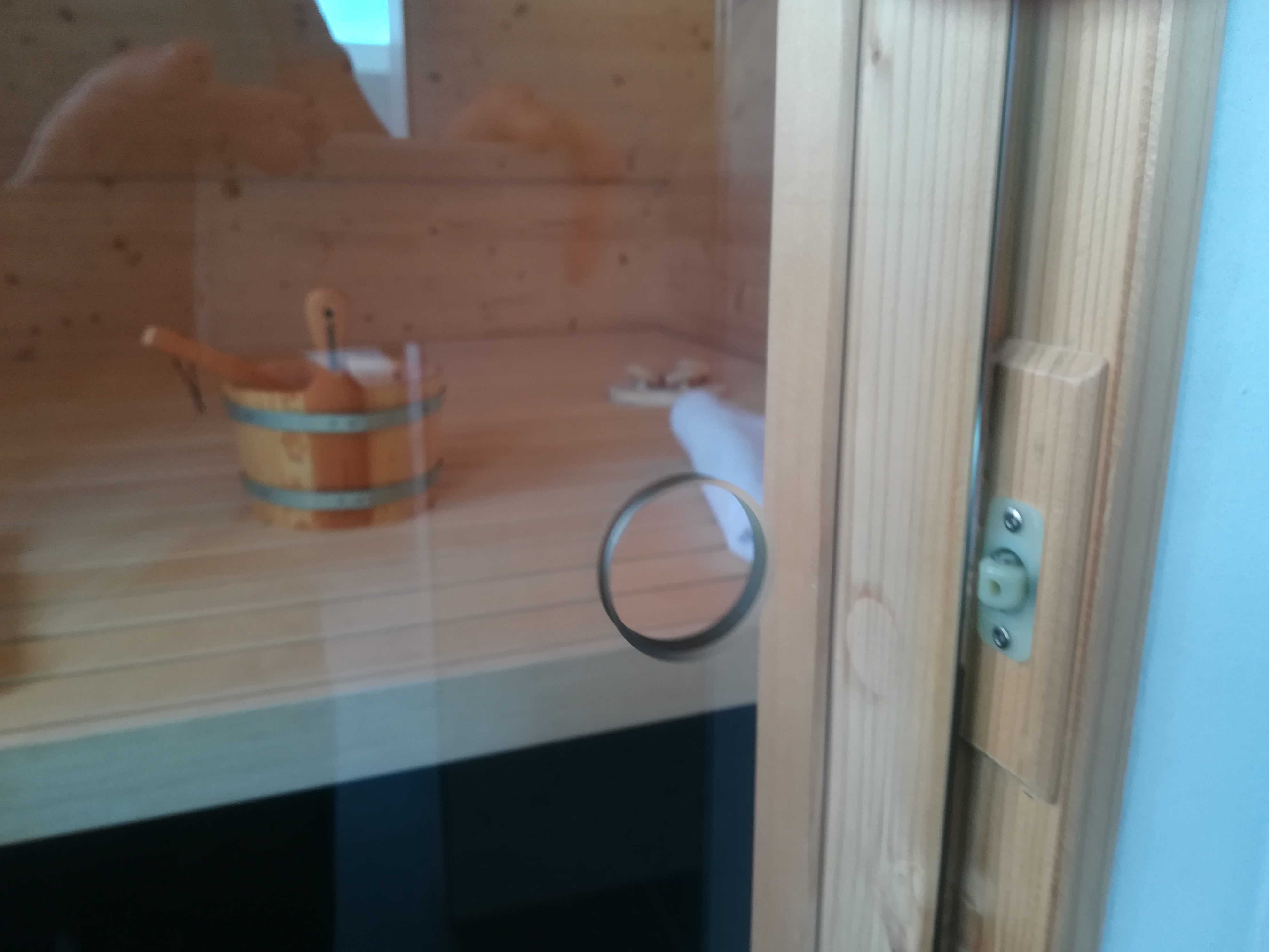 sauna-selbst-bauen-mit-dachschraege-anregungenhinweiseplanungen-465699-3.jpg