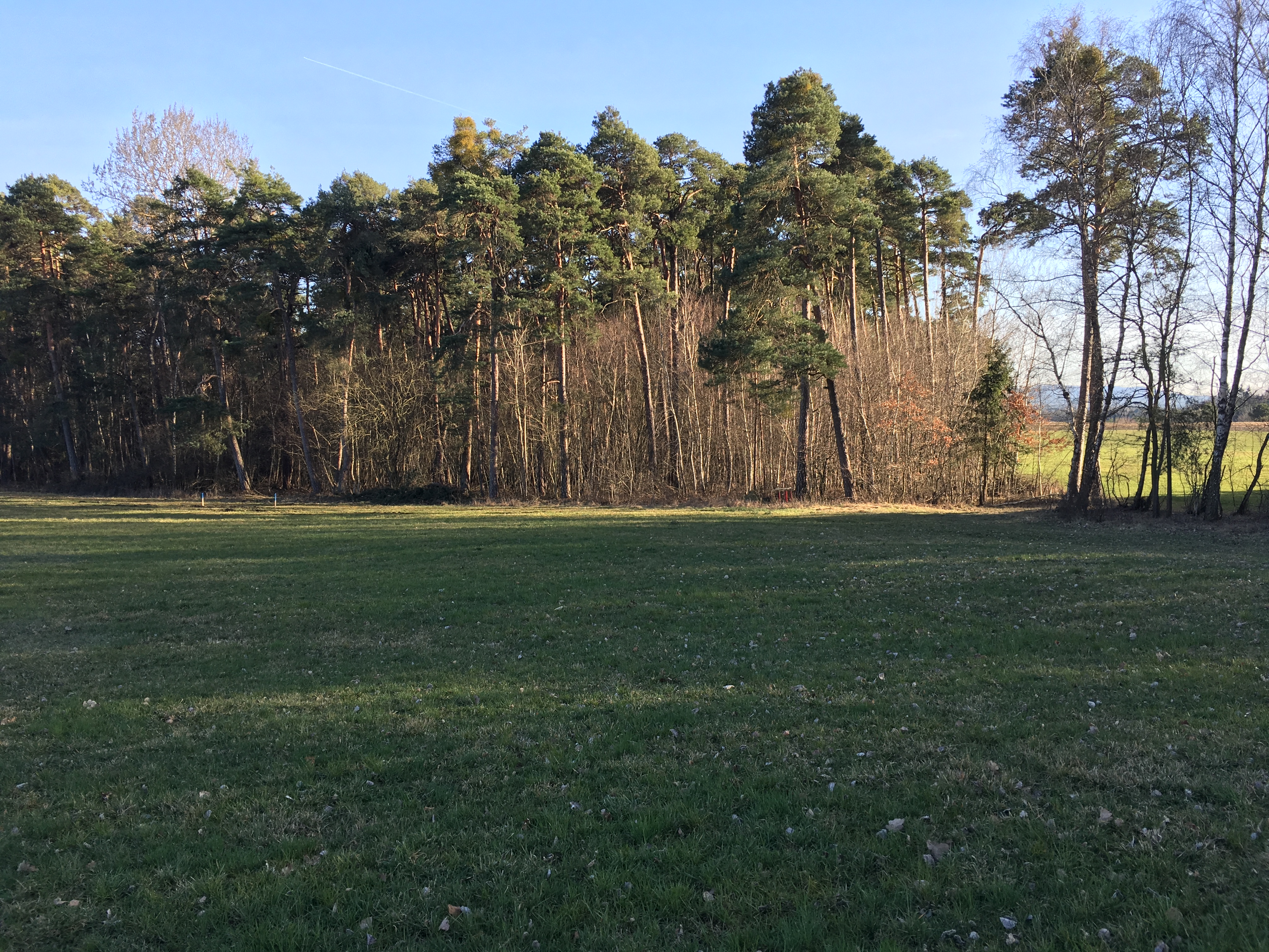schatten-am-nachmittagfruehen-abend-durch-angrenzenden-wald-314754-1.jpeg