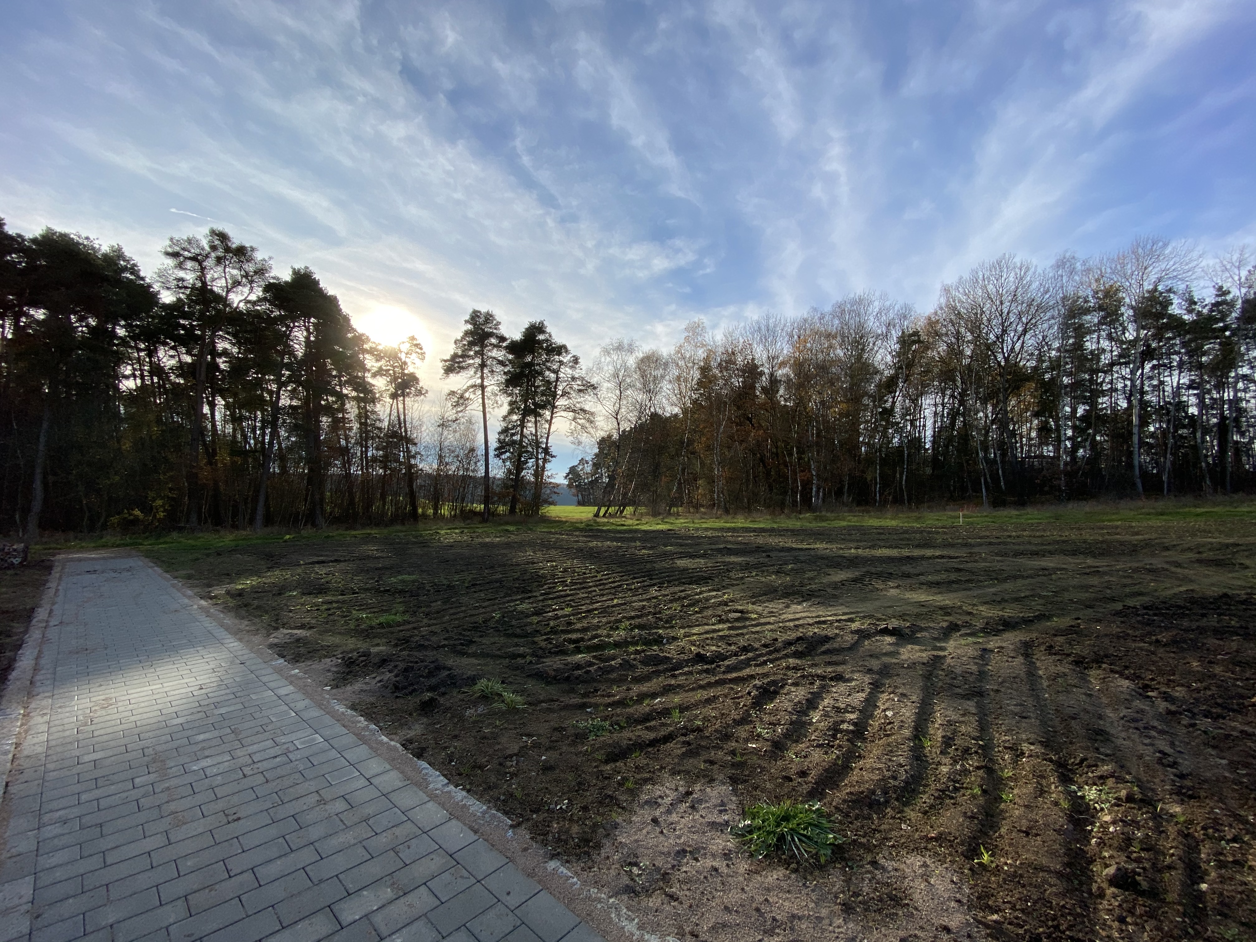 schatten-am-nachmittagfruehen-abend-durch-angrenzenden-wald-358684-1.jpeg