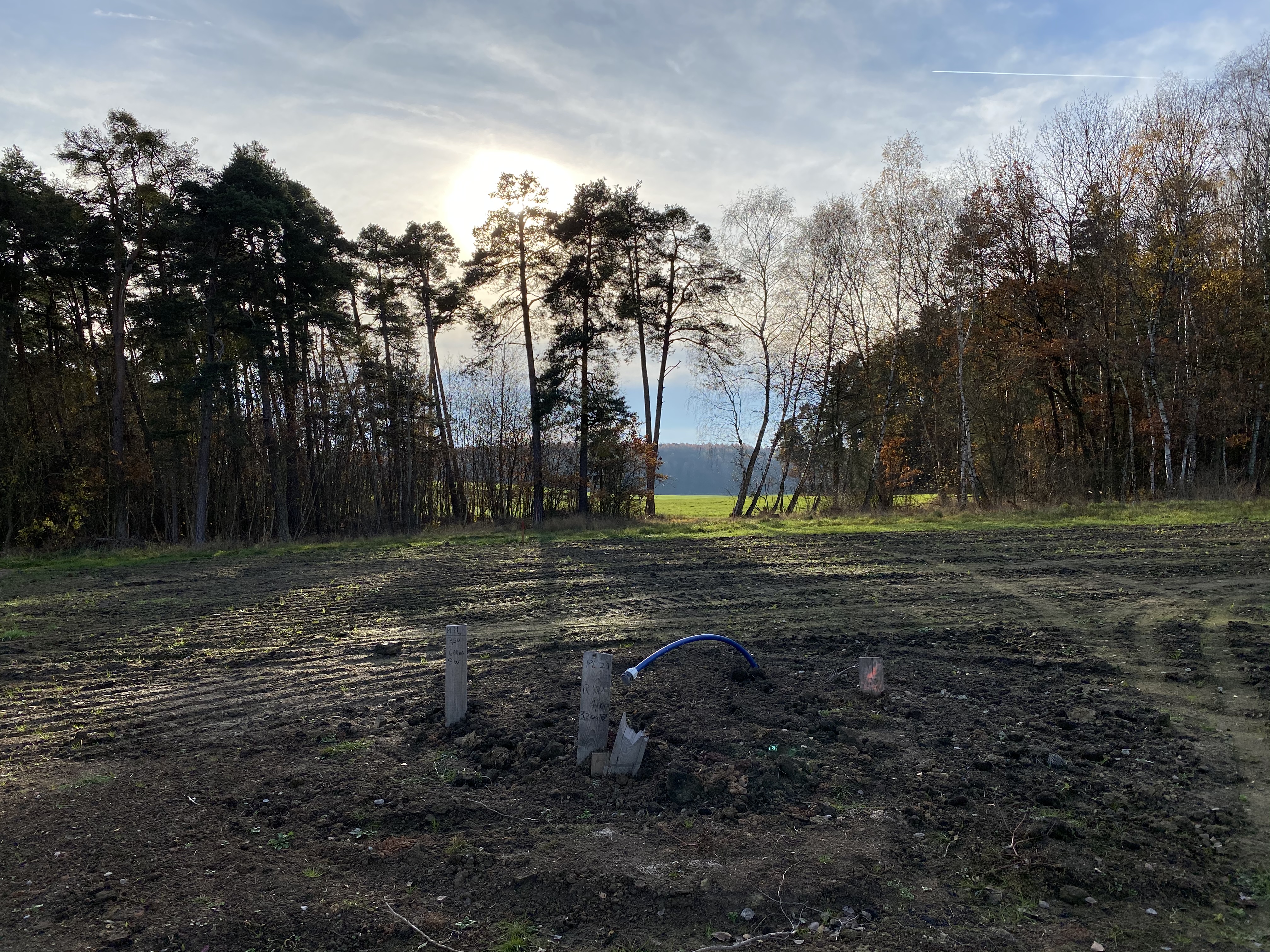 schatten-am-nachmittagfruehen-abend-durch-angrenzenden-wald-358684-2.jpeg