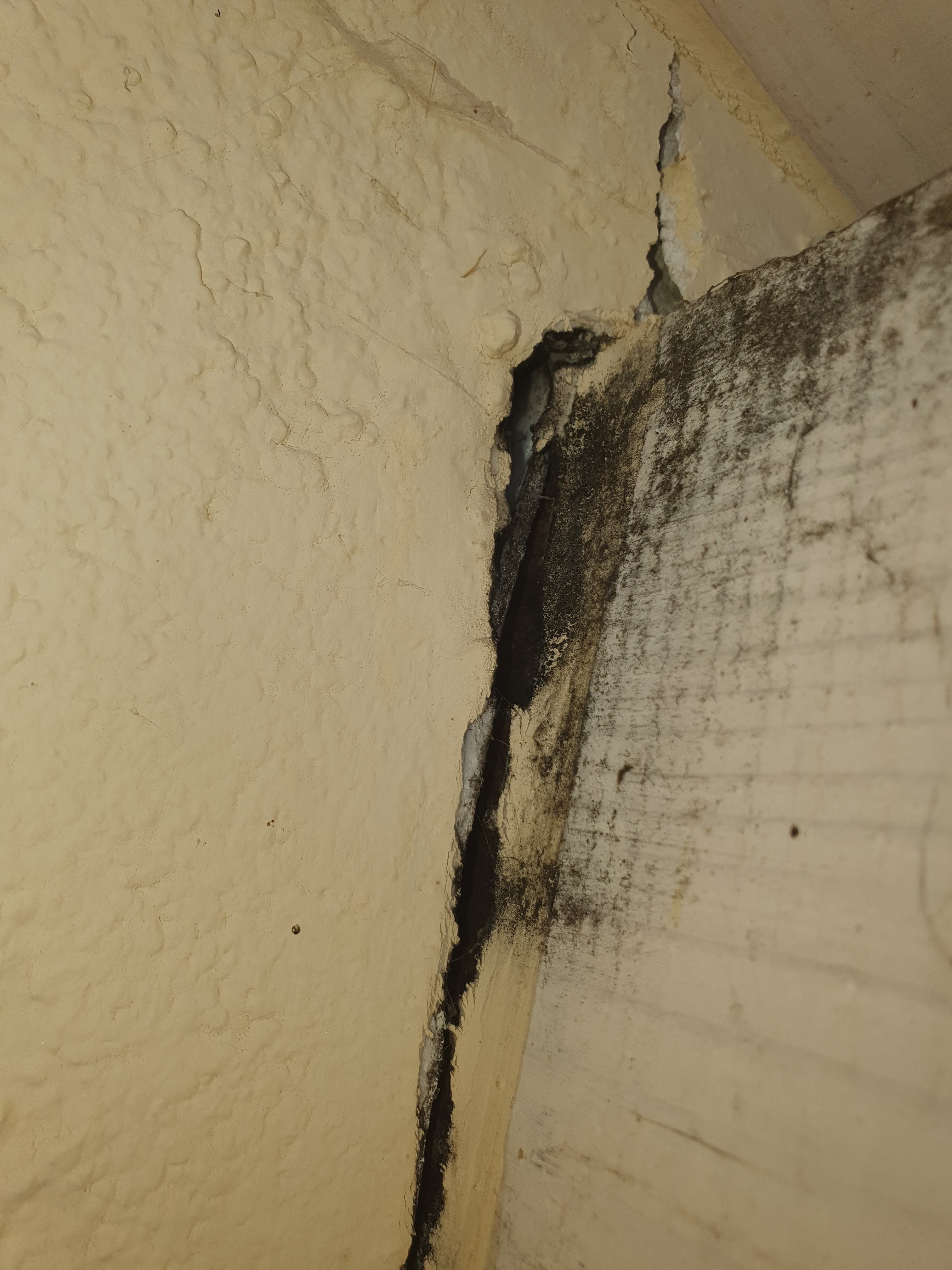schimmel-am-aeusseren-dachbalken-riss-an-aussenwand-543778-1.jpg