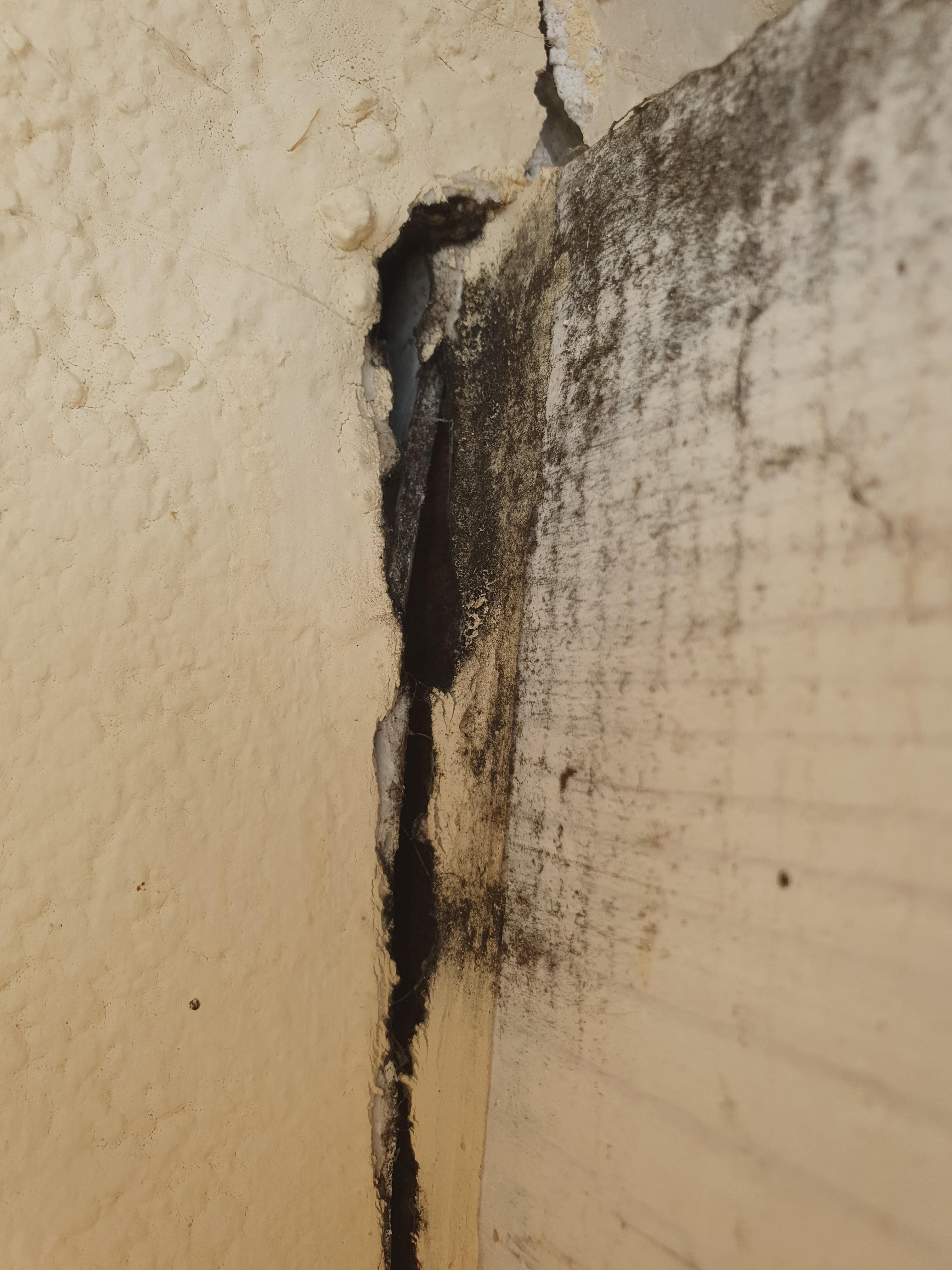 schimmel-am-aeusseren-dachbalken-riss-an-aussenwand-543778-2.jpg