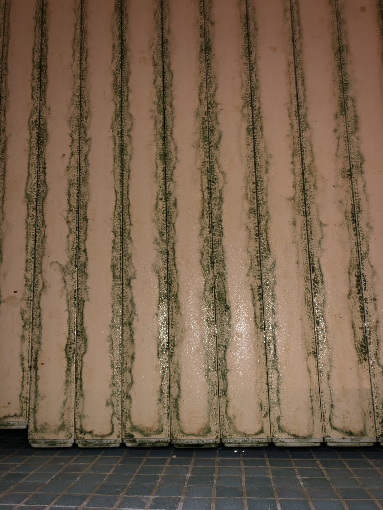 Mehrere vertikale, beige Wandpaneele mit grünem Schimmel an den Fugen; Bodenfliesen sichtbar.