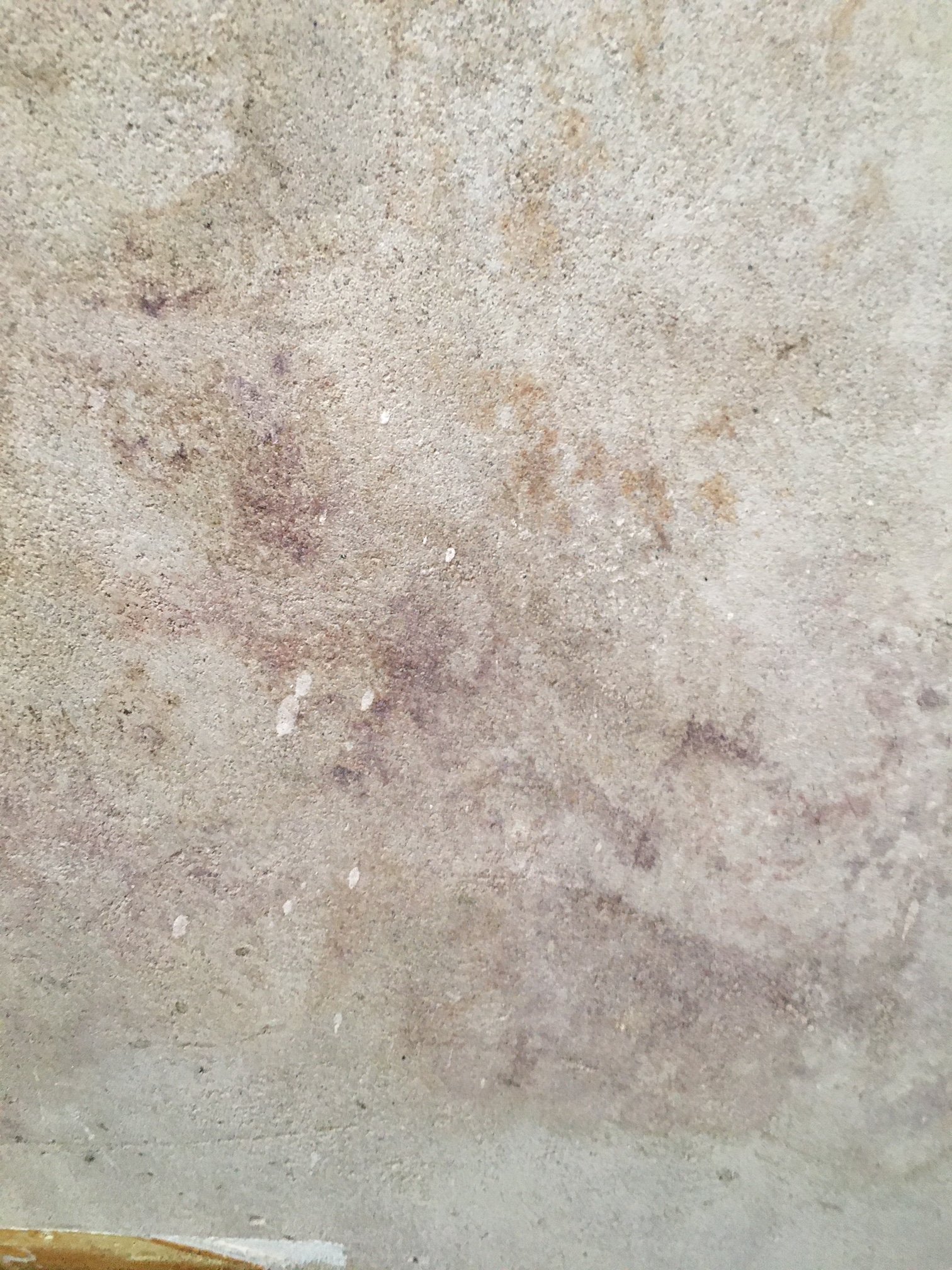 schimmel-an-der-wand-durch-wasserschaden-381744-1.JPG