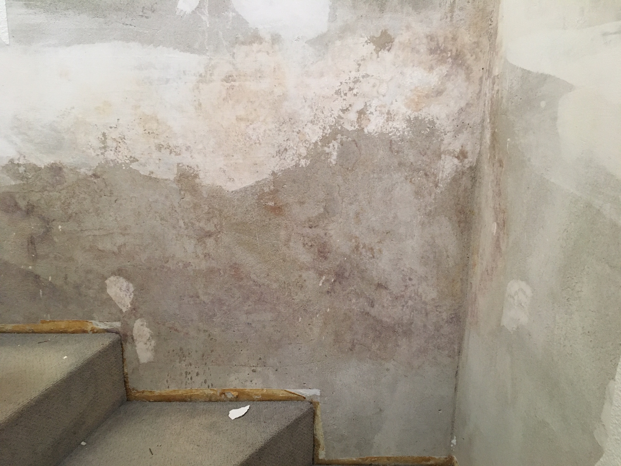 schimmel-an-der-wand-durch-wasserschaden-381744-2.JPG