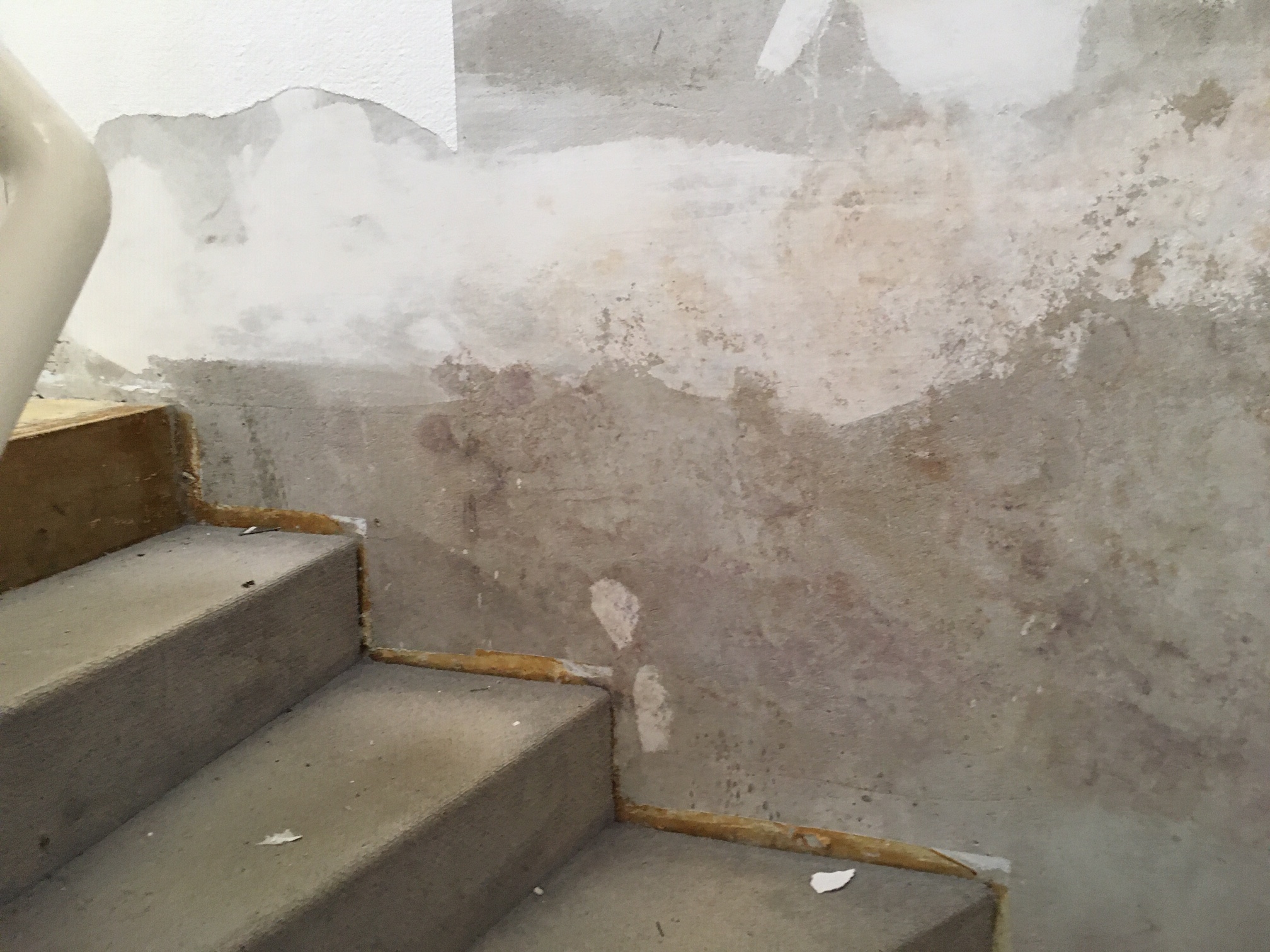 schimmel-an-der-wand-durch-wasserschaden-381744-3.JPG