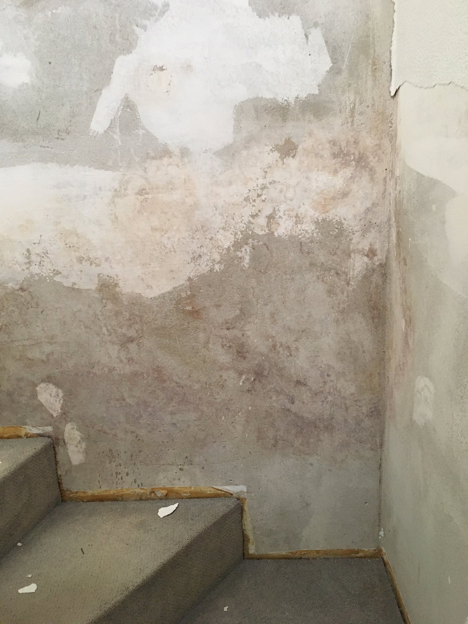 schimmel-an-der-wand-durch-wasserschaden-381744-4.JPG