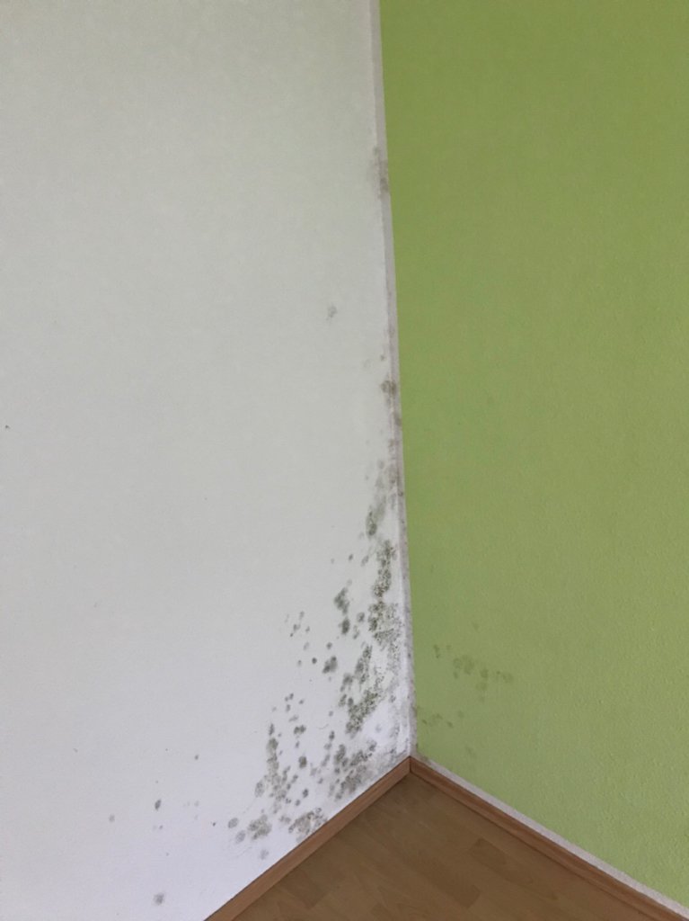 schimmel-an-waenden-nach-auszug-mieter-wegen-schlechter-lueftung-236476-1.jpg