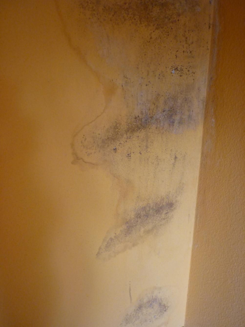 schimmel-an-wand-kamin-50379-1.jpg
