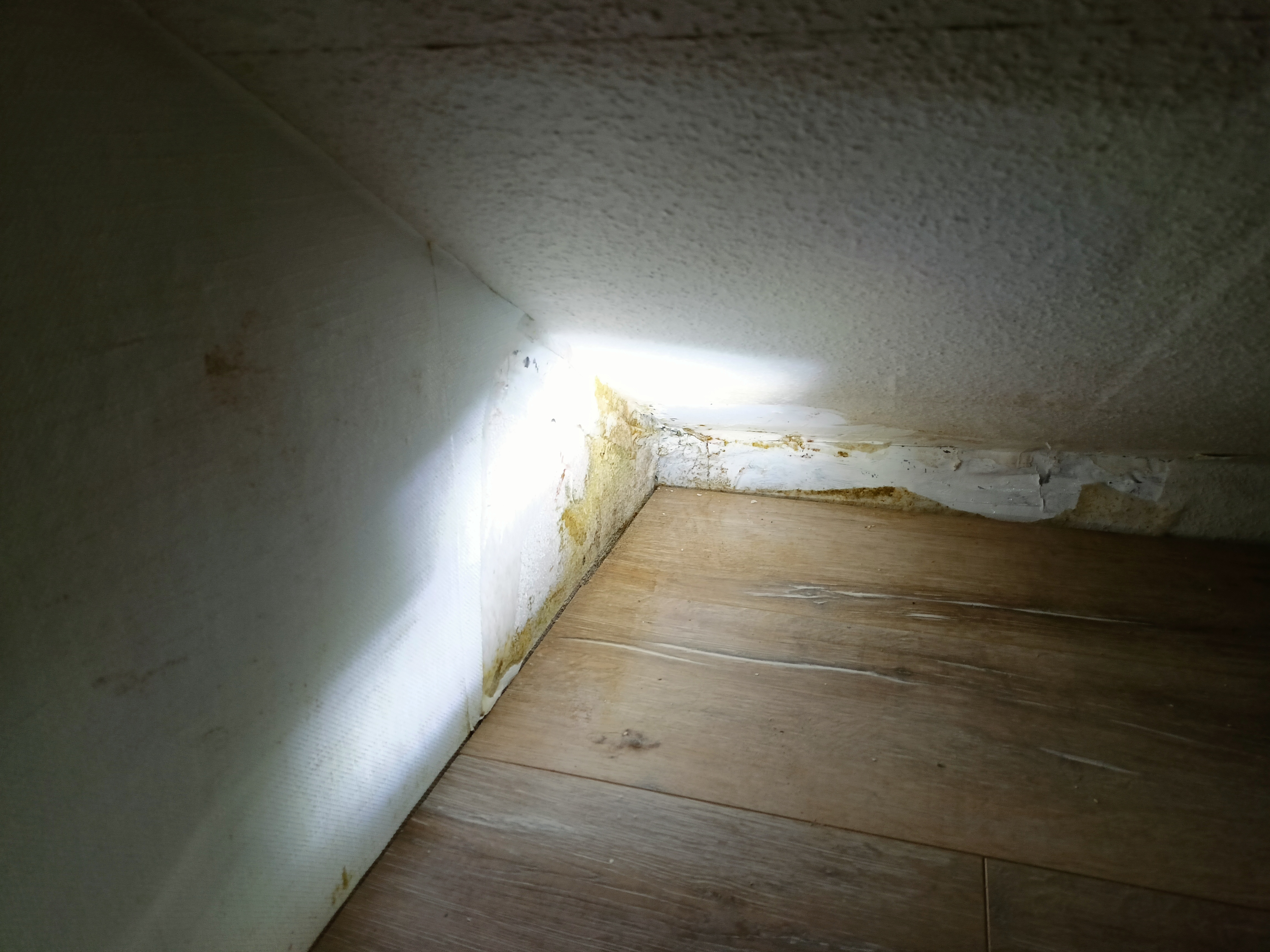 schimmel-durch-kaeltebruecke-ecke-in-einer-niesche-608665-1.jpg