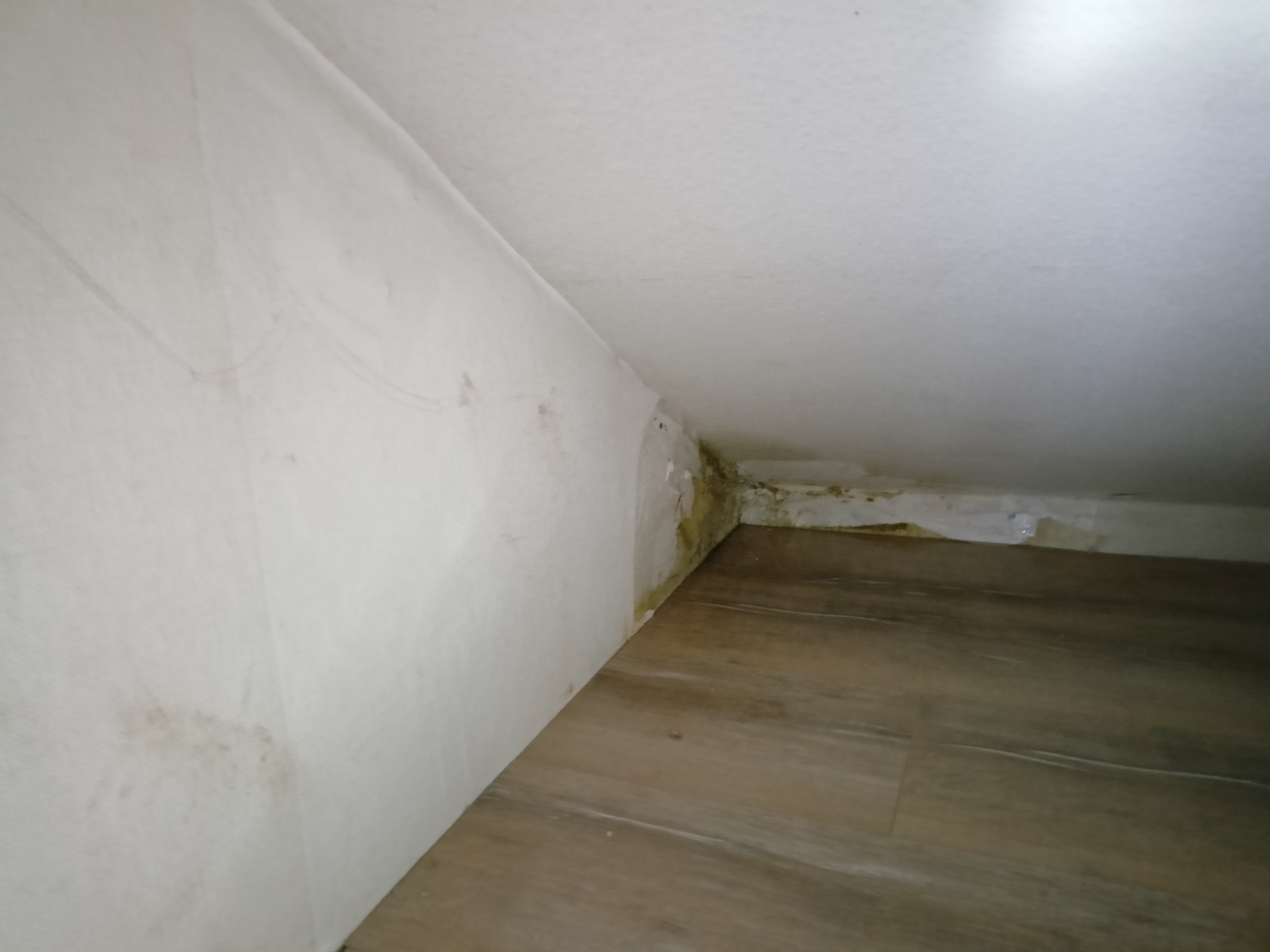 schimmel-durch-kaeltebruecke-ecke-in-einer-niesche-608665-3.jpg