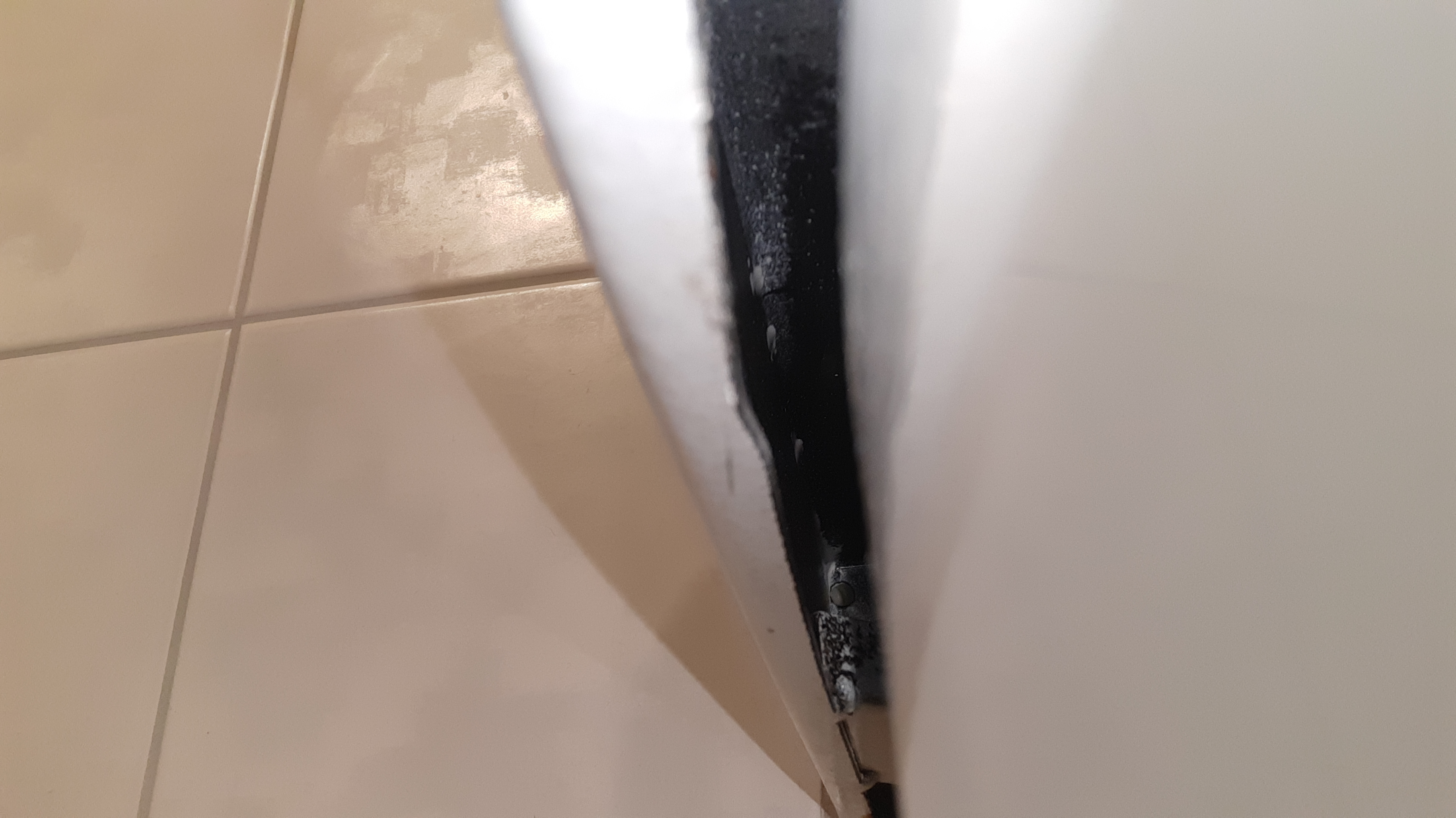 schimmel-dusche-bitte-um-eure-einschaetzung-308495-3.jpg