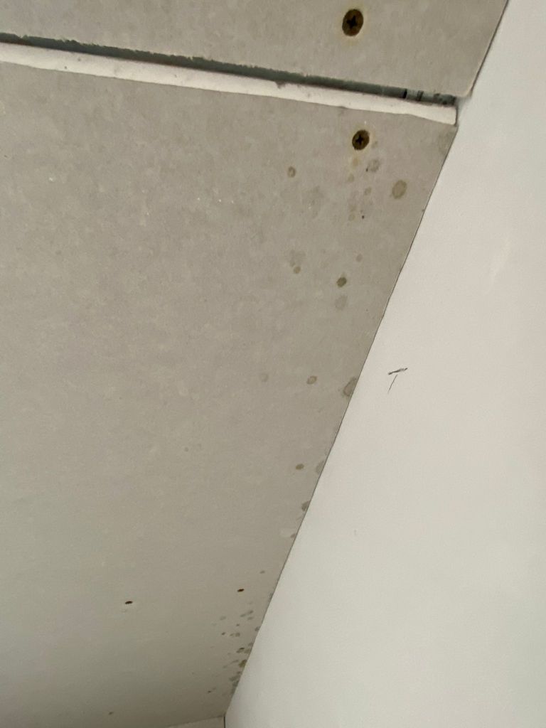 schimmel-im-bad-der-gu-weigert-sich-zu-reagieren-529934-1.jpg
