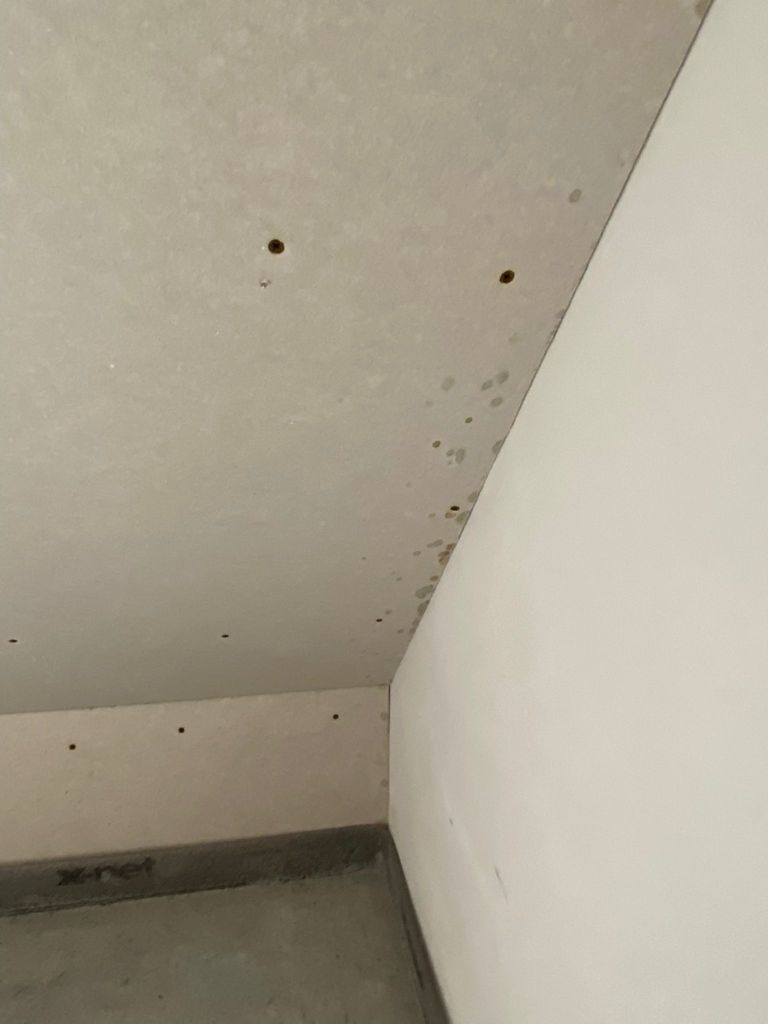 schimmel-im-bad-der-gu-weigert-sich-zu-reagieren-529934-4.jpg