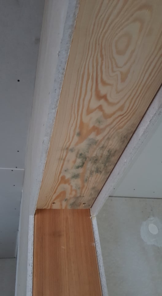 schimmelbefall-im-rohbau-normal-313590-6.jpg