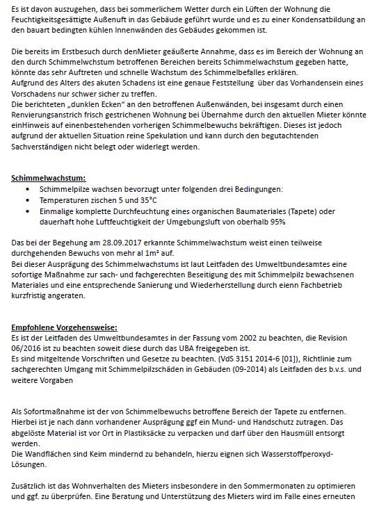 Dokument mit Text über Schimmelbefall in Mietwohnung und Handlungsempfehlungen.
