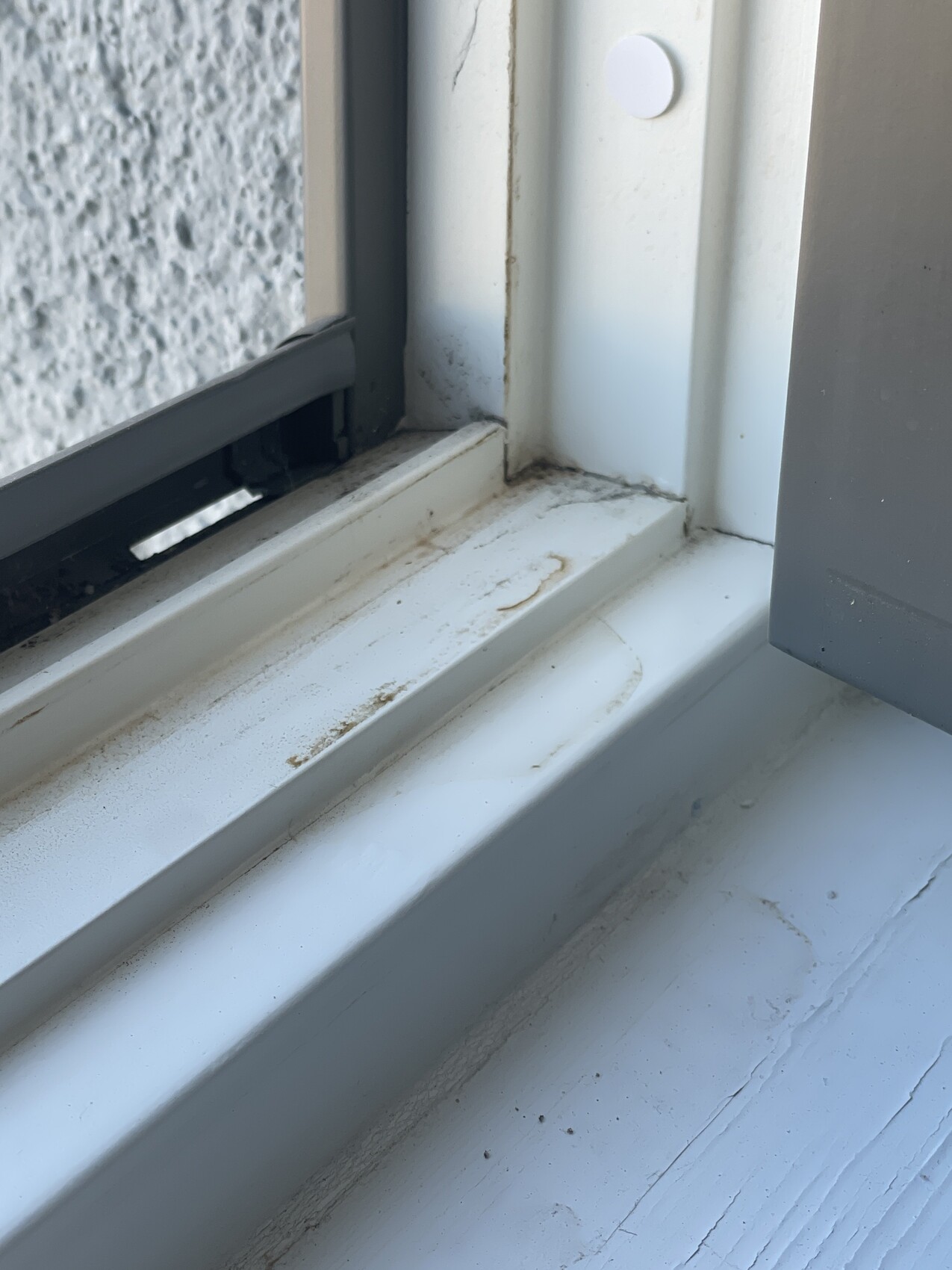 Weißer Fensterrahmen und Fensterbank mit Staub und Schmutz am Rand.
