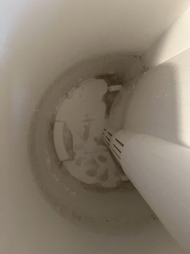 Blick von oben in eine Toilette; ein Reinigungswerkzeug ragt in die Schüssel.