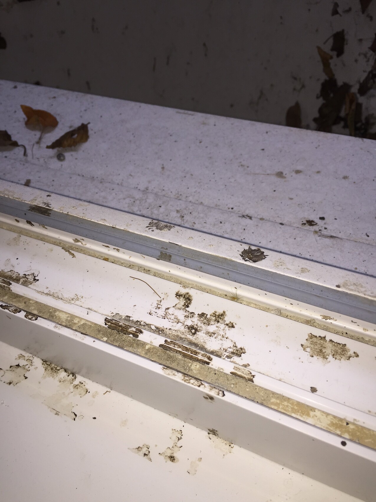 Nahaufnahme eines verschmutzten Fensterrahmens mit Staub und Laub