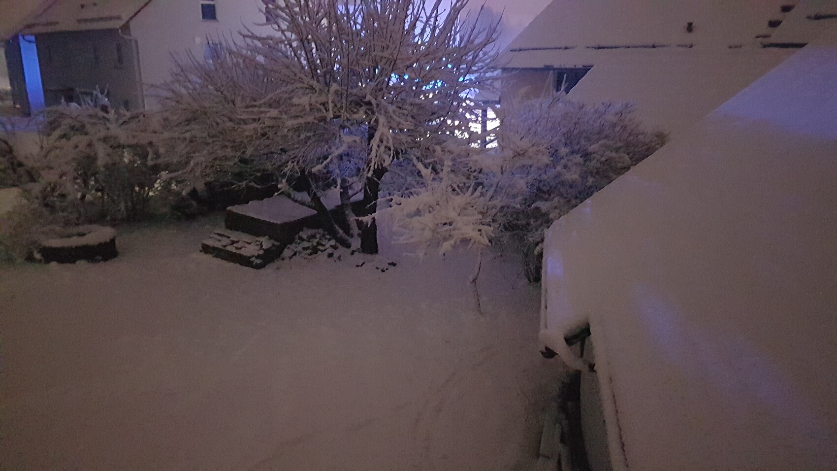 Nachtaufnahme eines verschneiten Innenhofs mit Bäumen, Stufen und Schnee.