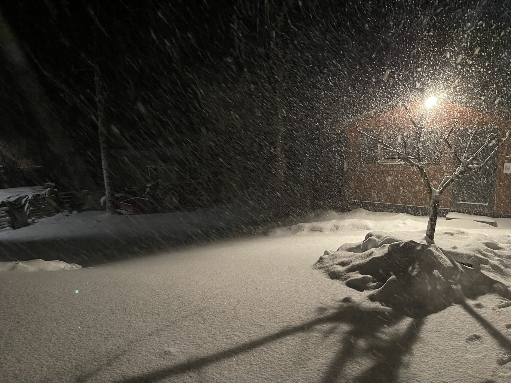 Nächtlicher Schneefall im Garten; Baum, Schneewehen, Haus mit warmem Licht im Hintergrund.